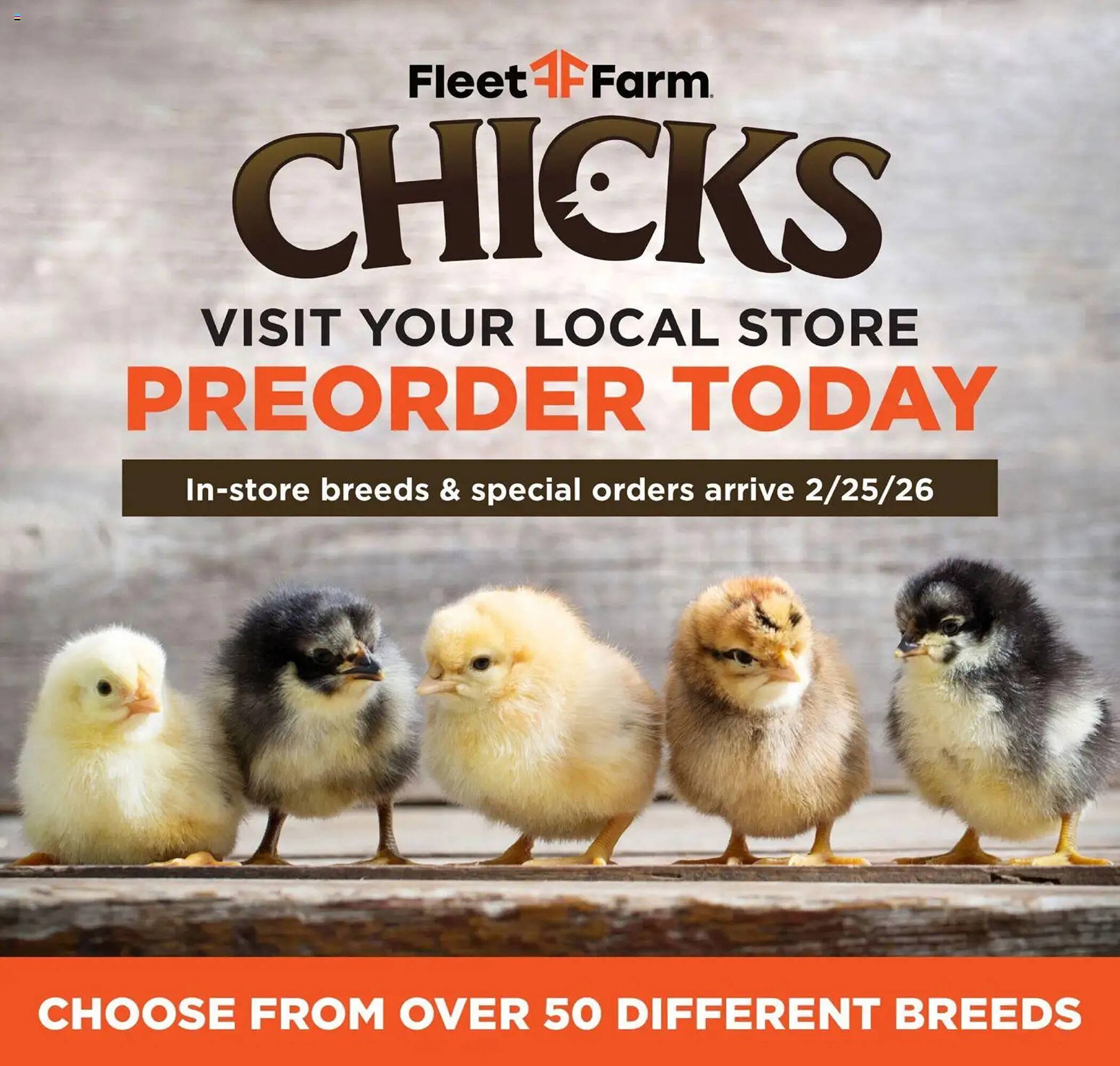 Mills Fleet Farm weekly ad