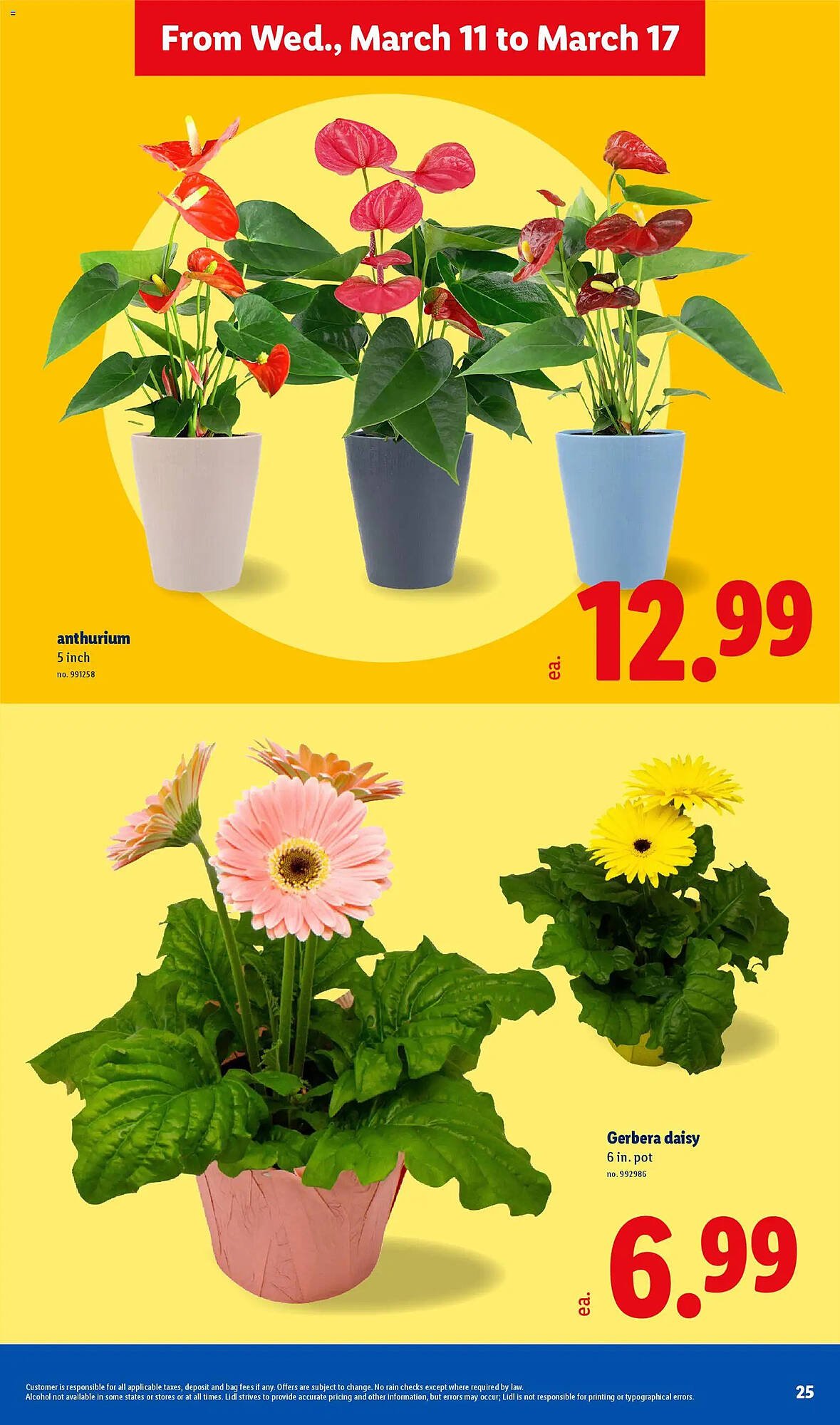 Lidl weekly ad