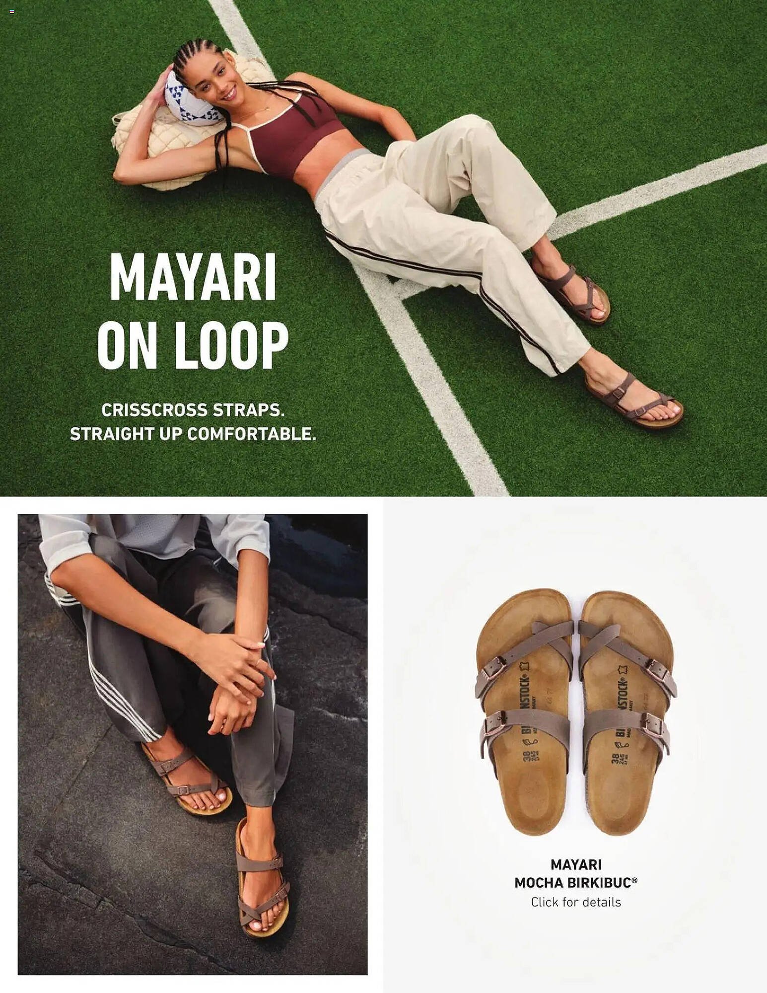 Dunham's Sports weekly ad