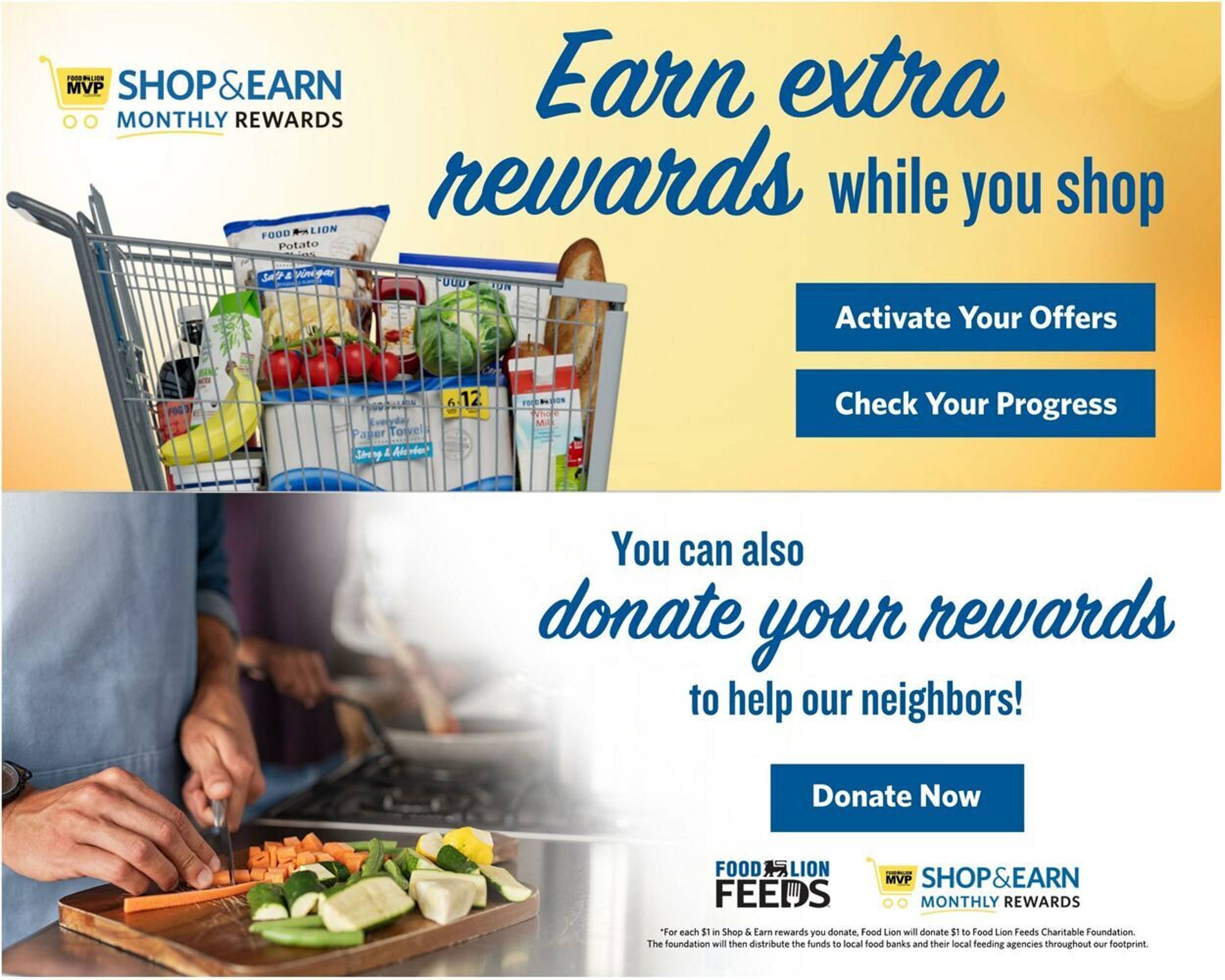 Food Lion weekly ad