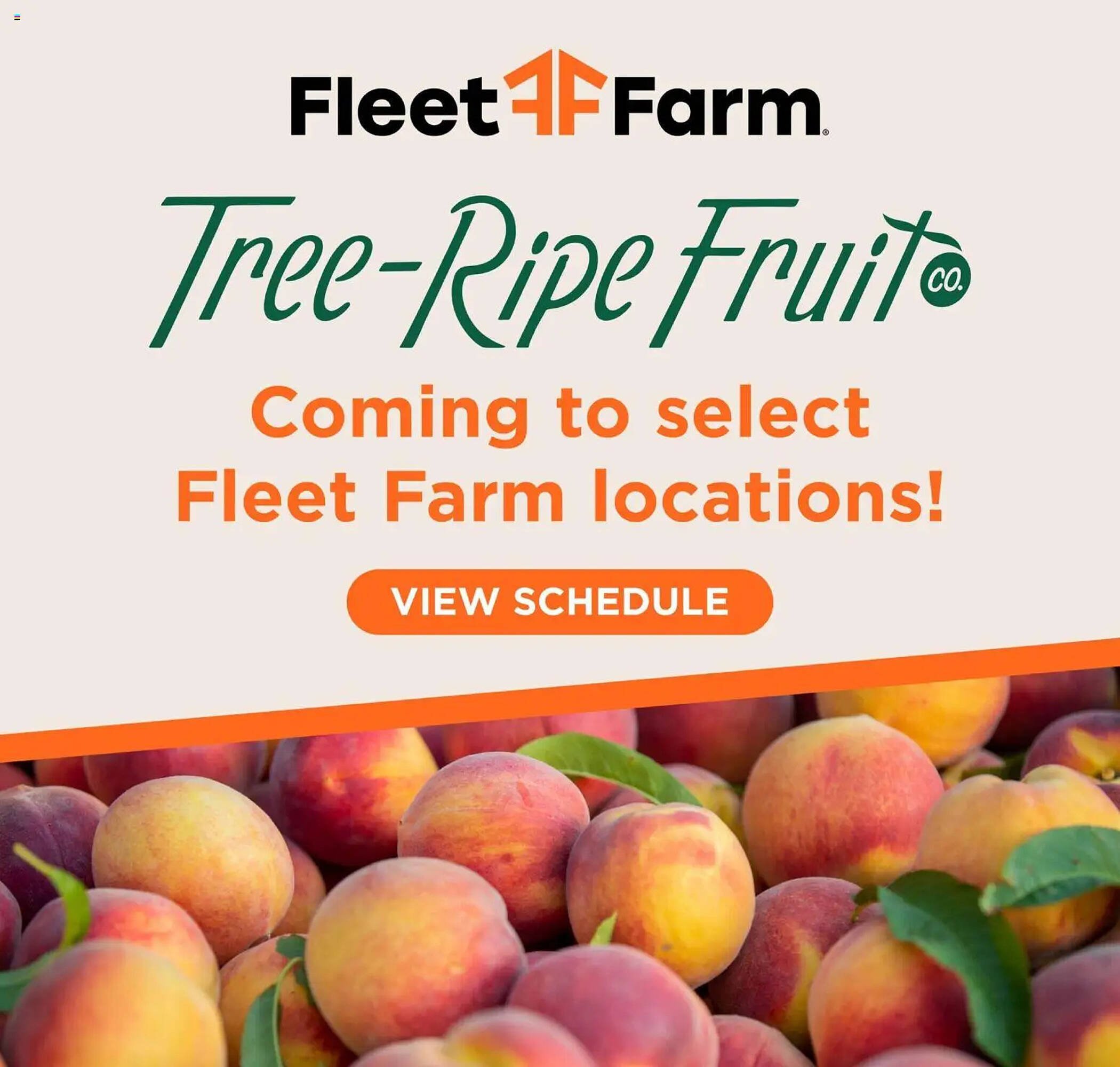 Mills Fleet Farm weekly ad