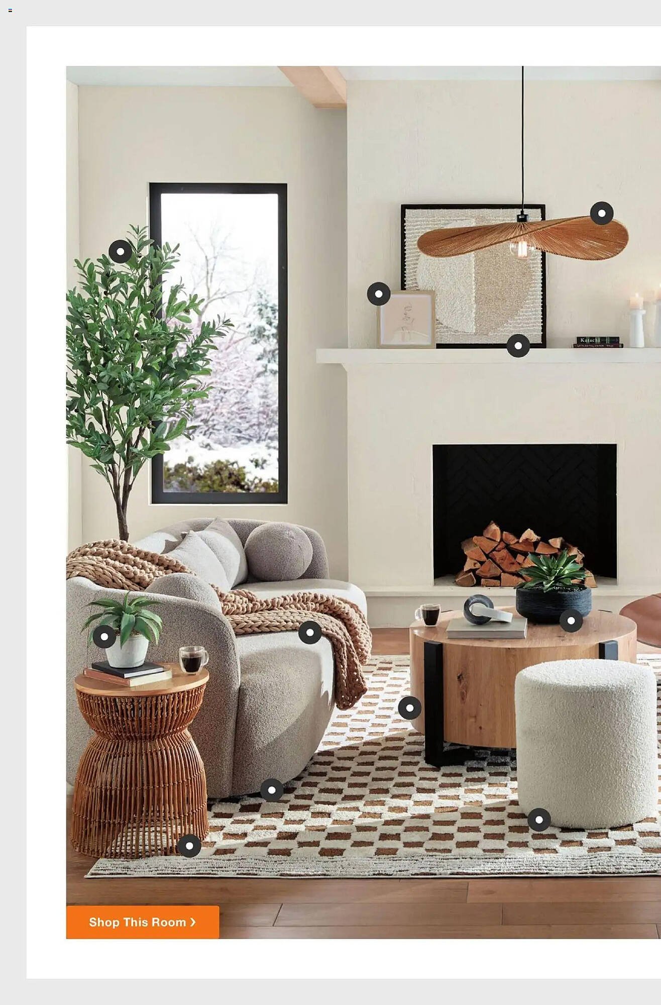 The Home Depot flyer