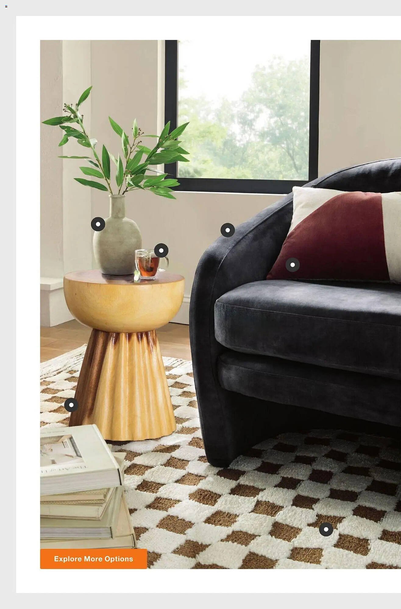 The Home Depot flyer