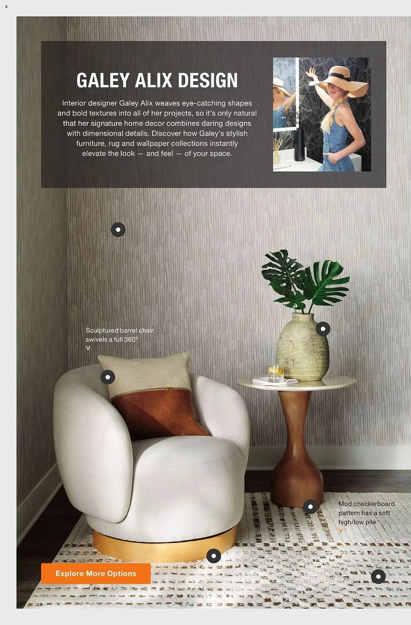 The Home Depot flyer