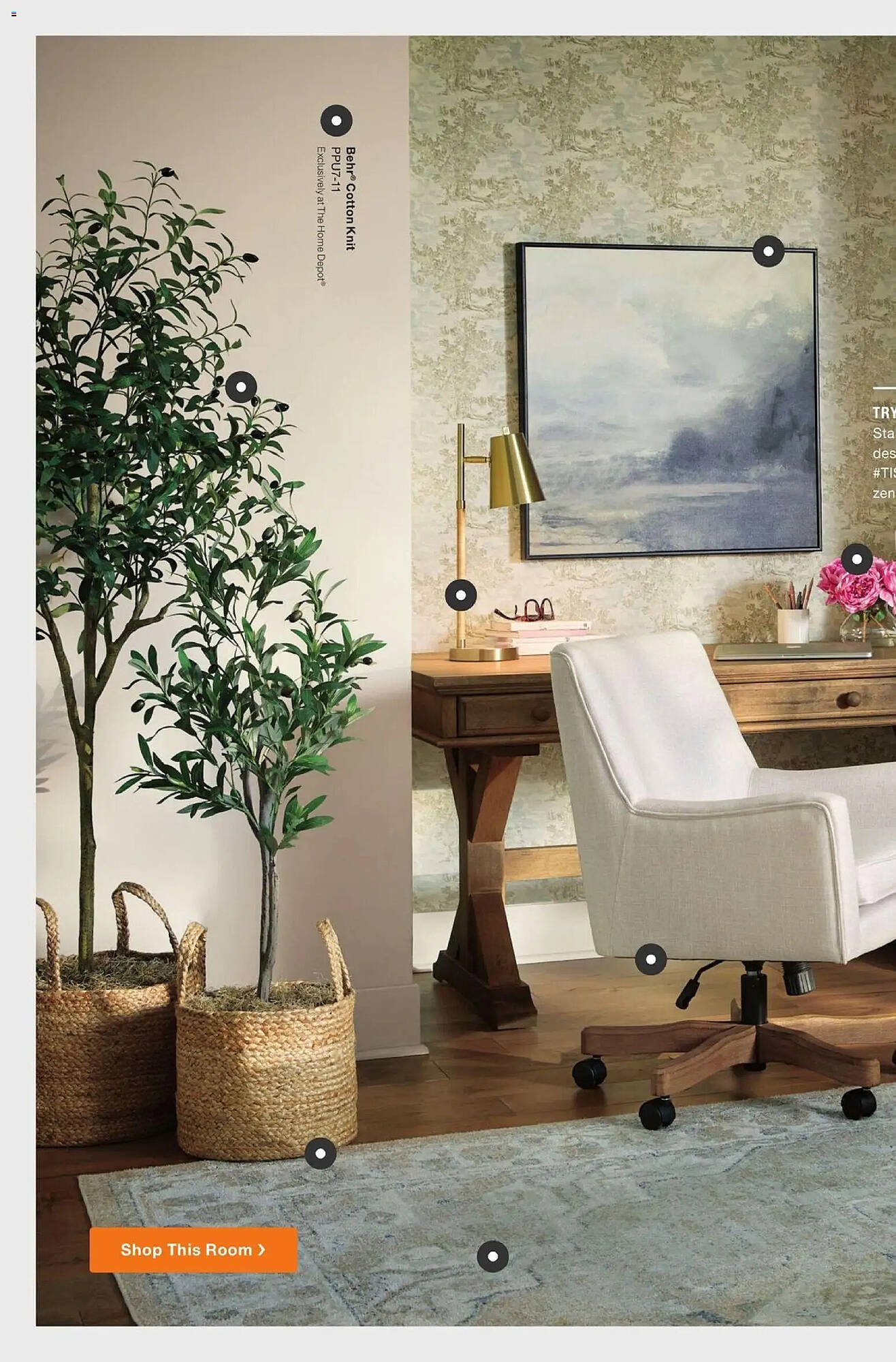 The Home Depot flyer