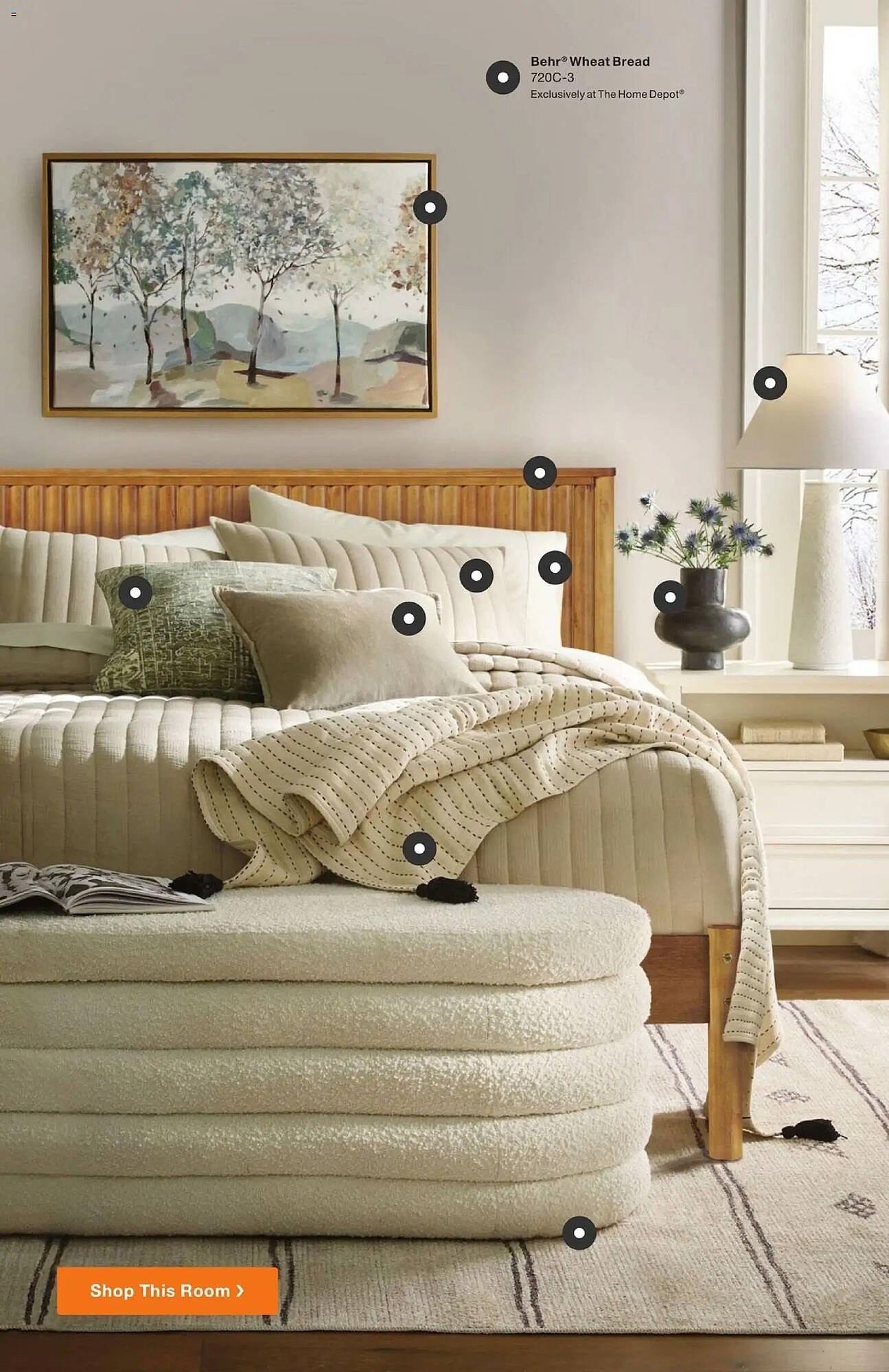 The Home Depot flyer