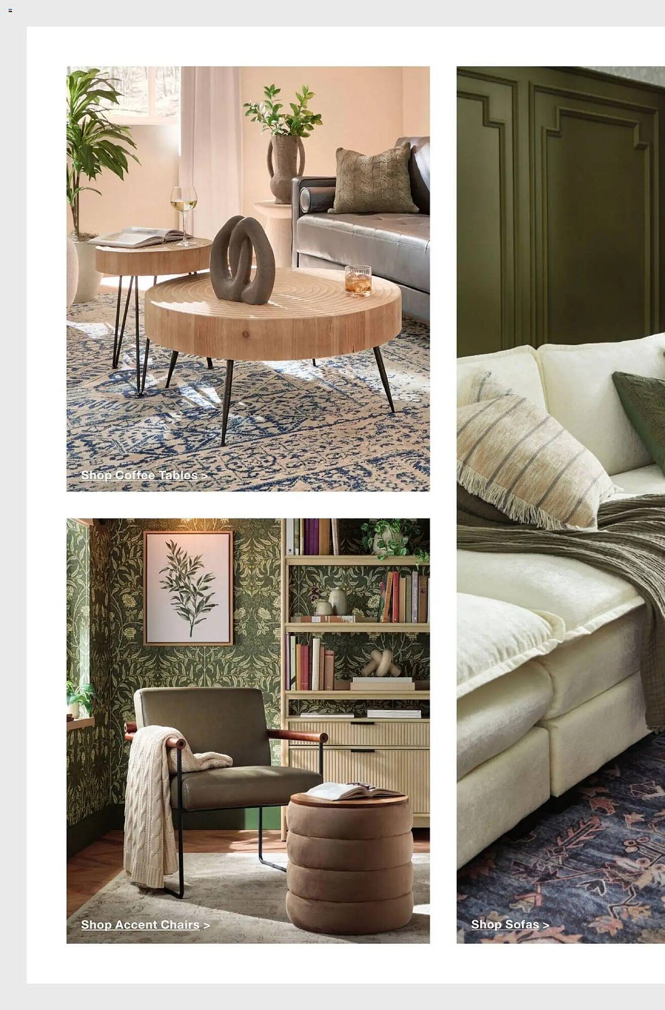 The Home Depot flyer