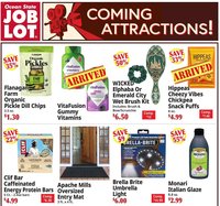 Ocean State Job Lot flyer