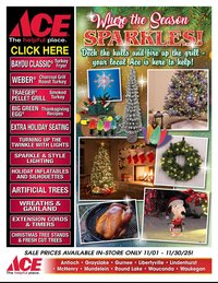 Ace Hardware flyer (2025-11-01 - 2025-11-30)