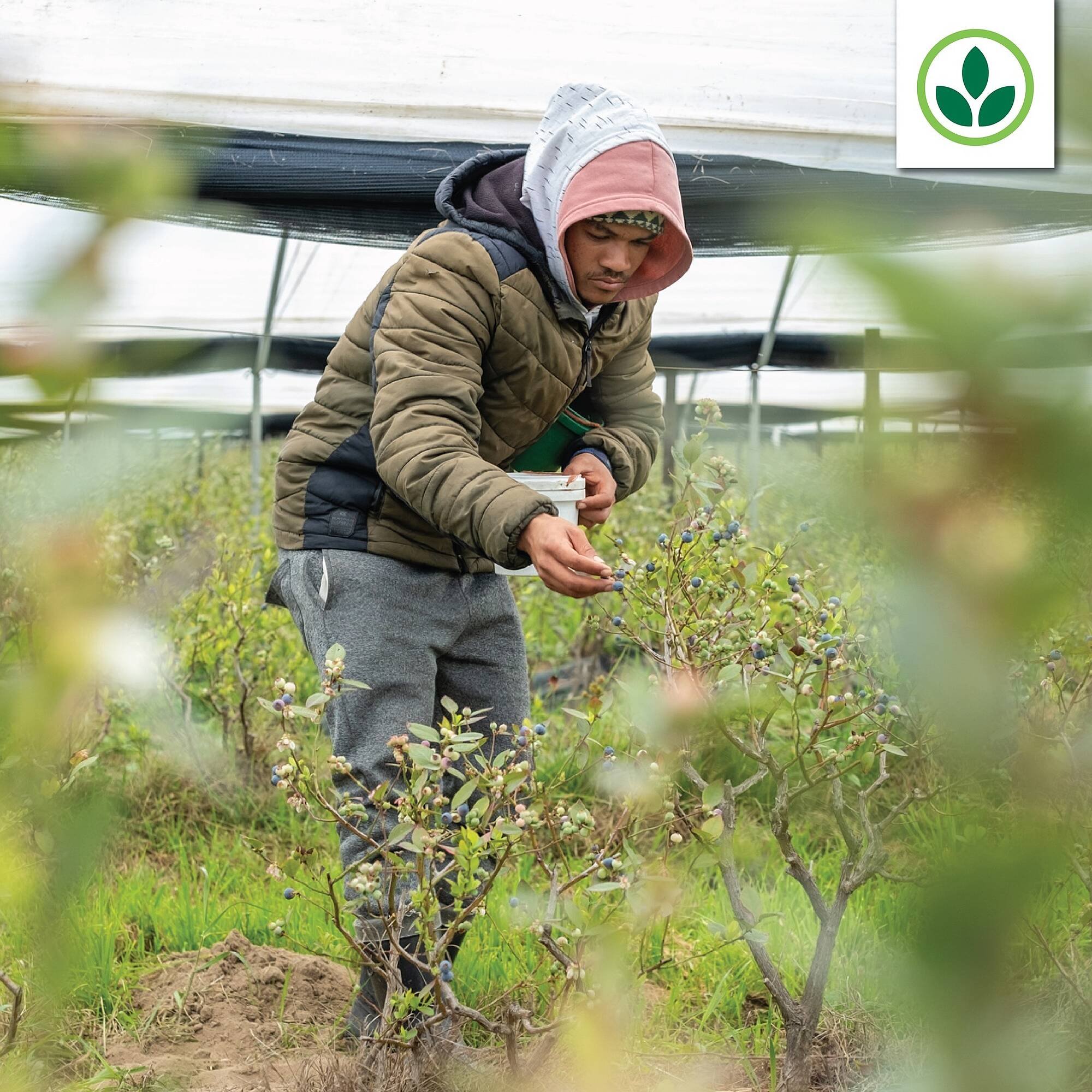 Agrimark catalogue (2026-01-27 - 2026-02-02) | 2