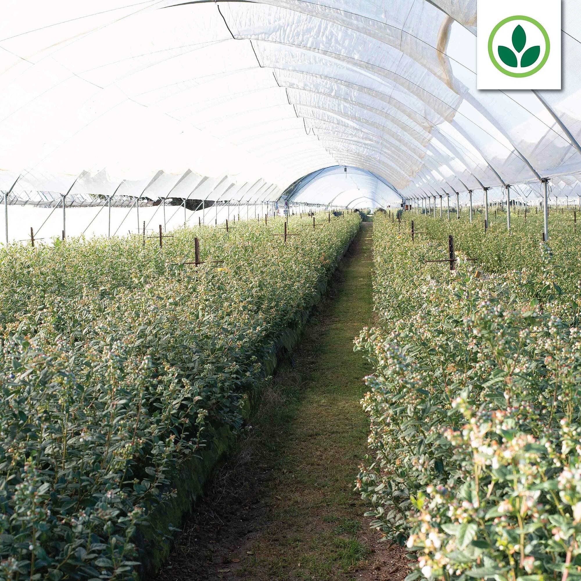 Agrimark catalogue (2026-01-27 - 2026-02-02) | 3