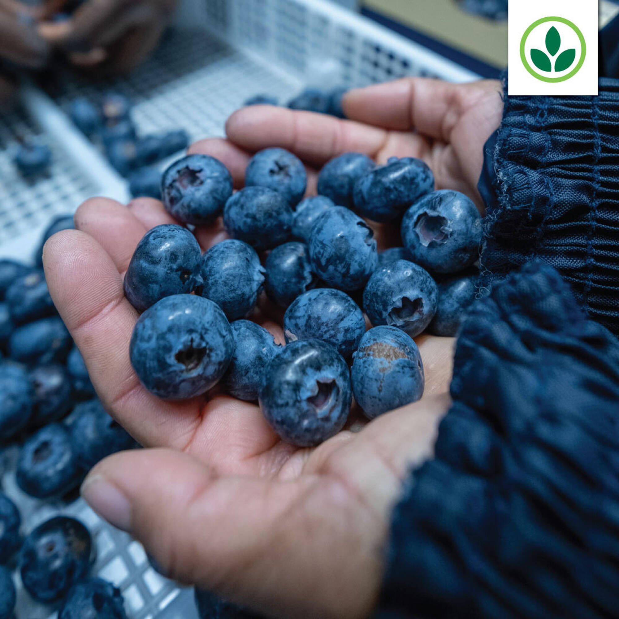 Agrimark catalogue (2026-01-27 - 2026-02-02) | 4