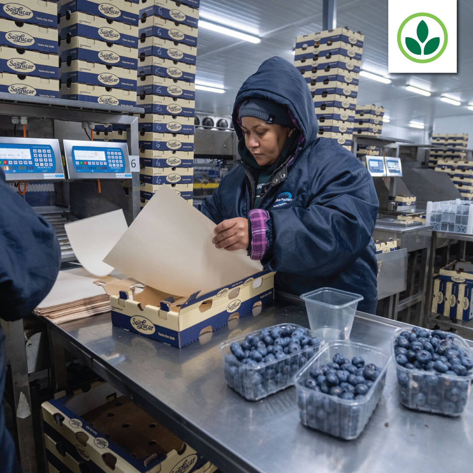 Agrimark catalogue (2026-01-27 - 2026-02-02) | 5