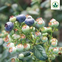 Agrimark catalogue (2026-01-27 - 2026-02-02)