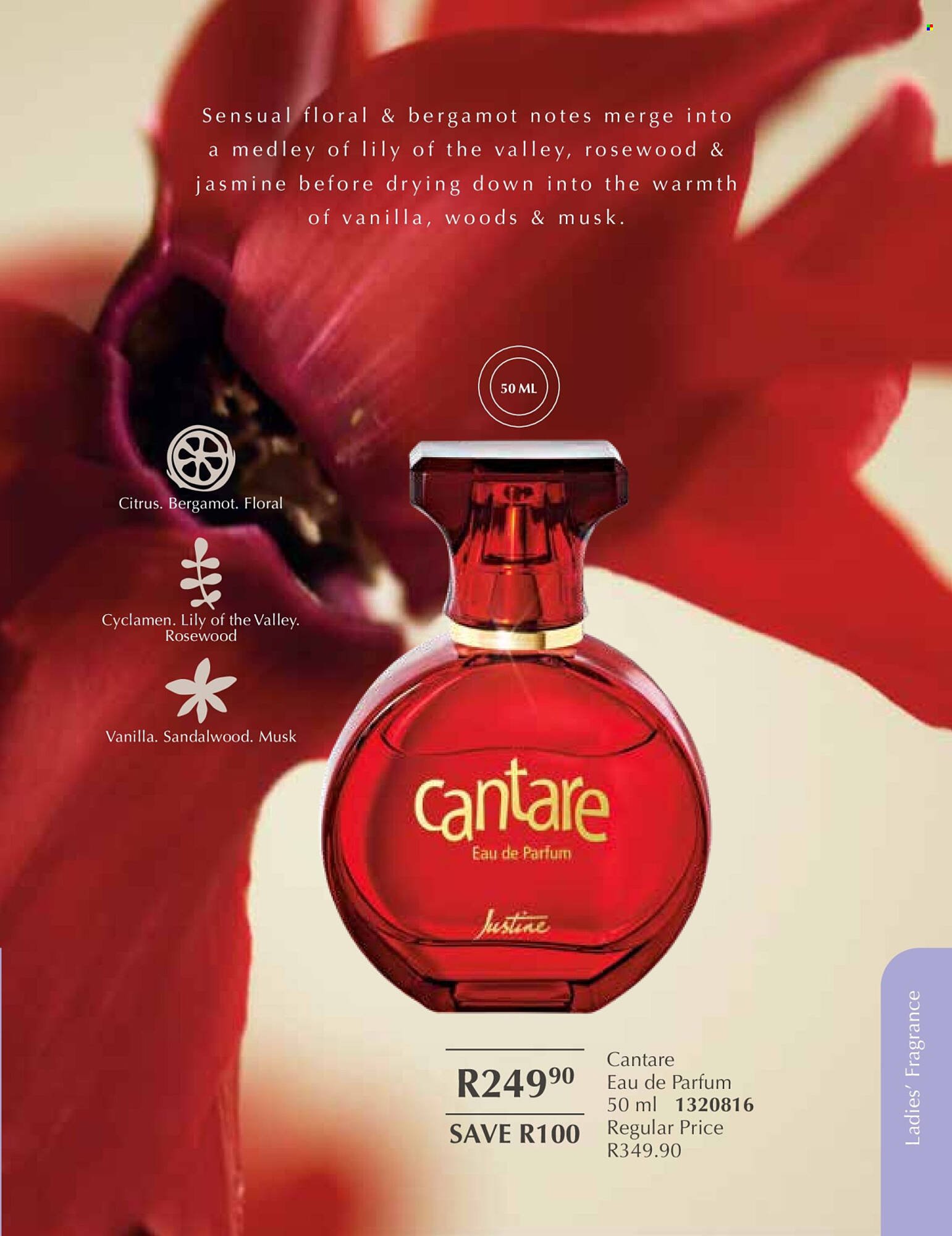 Justine brochure (2026-01-01 - 2026-01-31) | 53