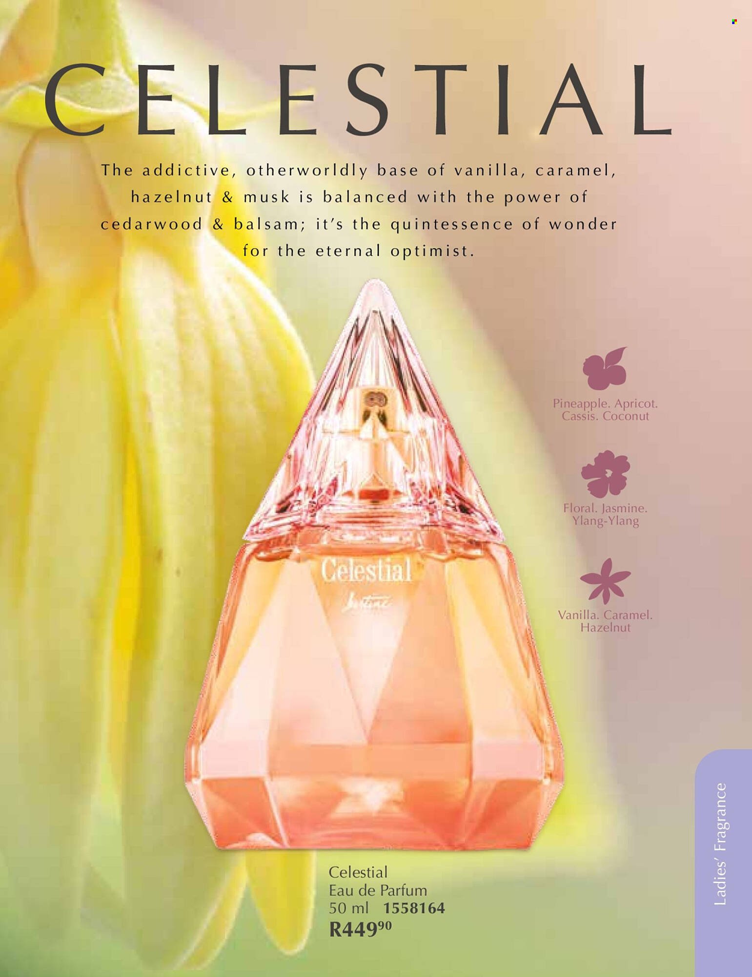 Justine brochure (2026-01-01 - 2026-01-31) | 54