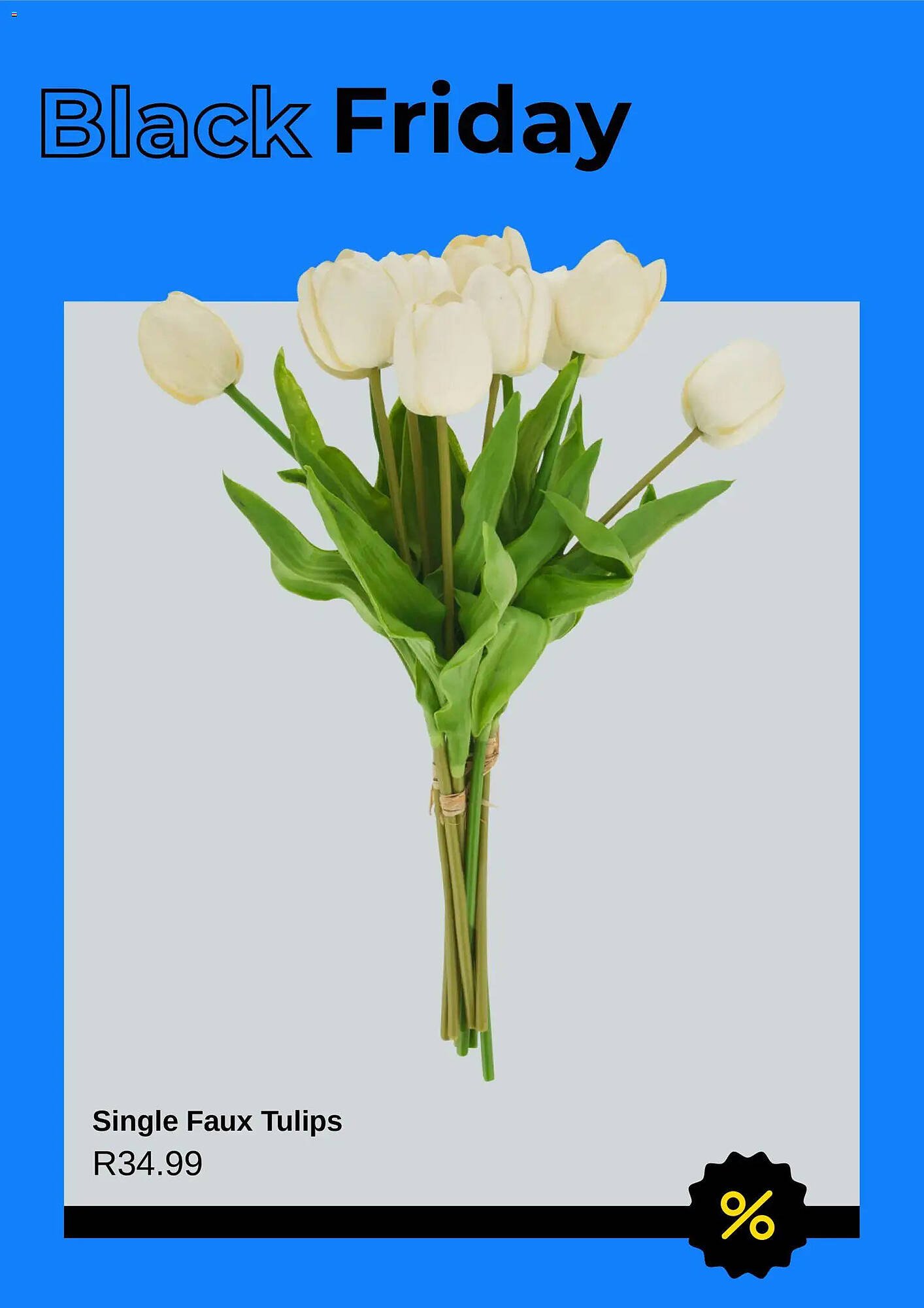 PEP catalogue (2025-11-09 - 2025-11-22) | 10