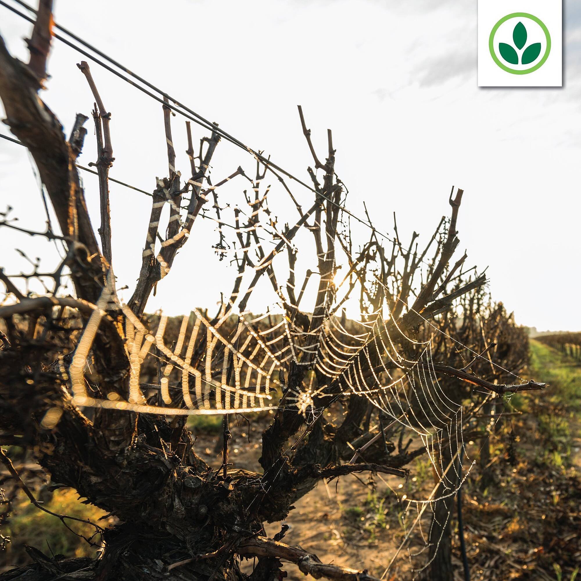 Agrimark catalogue (2025-08-13 - 2025-08-19) | 2