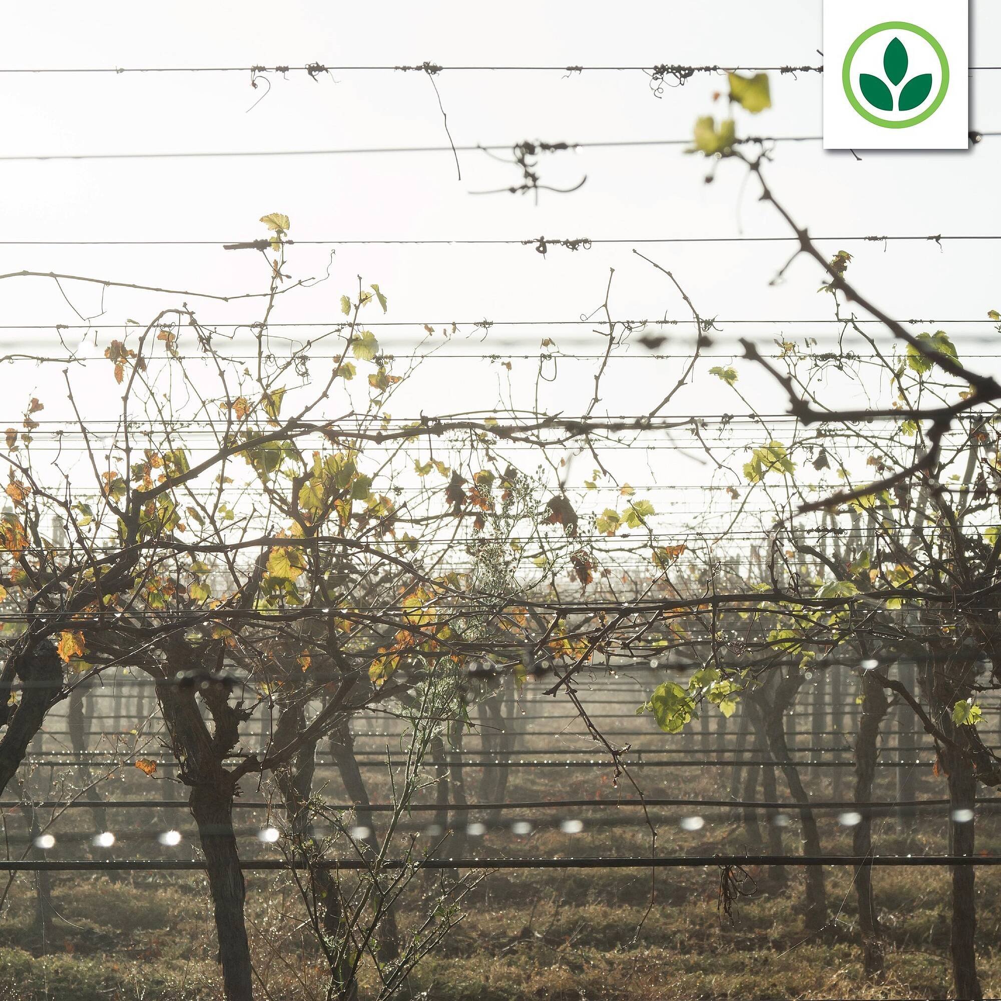 Agrimark catalogue (2025-08-13 - 2025-08-19) | 4