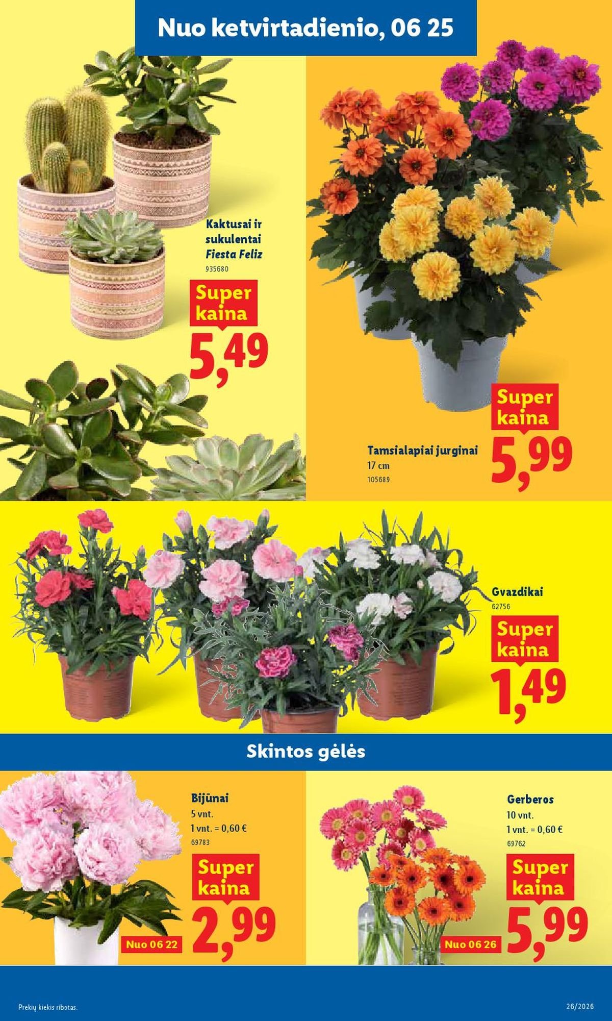 LIDL - Maisto prekių pasiūlymai (2026 06 22 - 2026 06 28)