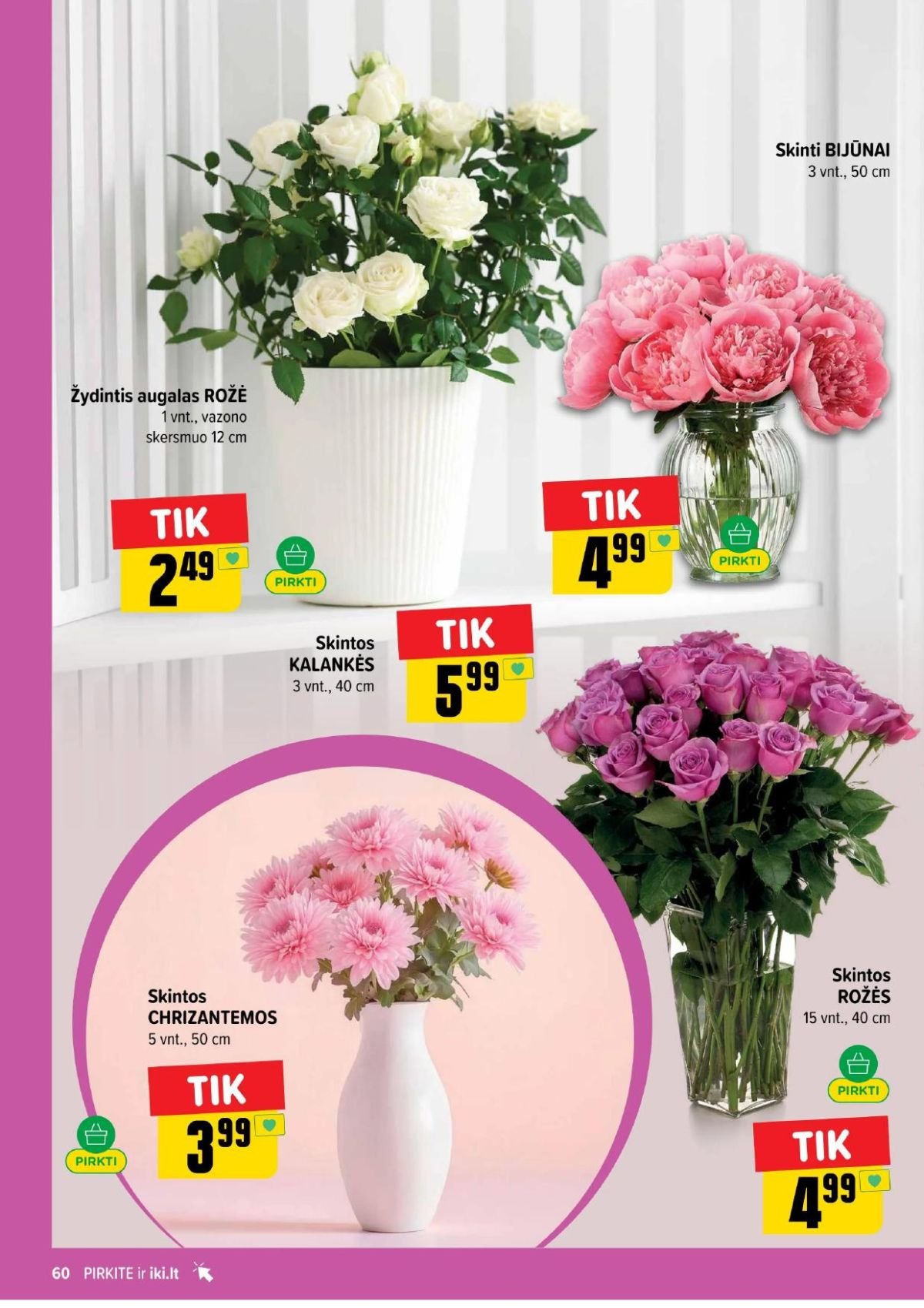 IKI - Leidinys Nr.24 (2026 06 08 - 2026 06 14)