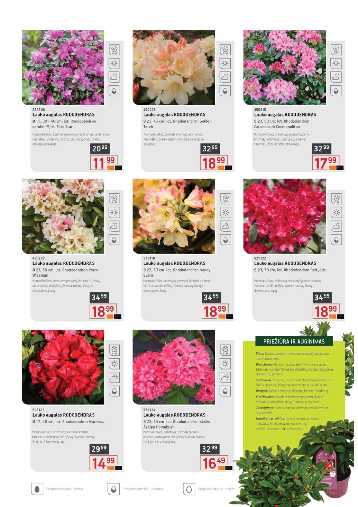 ERMITAŽAS - Pavasario katalogas (2026 04 01 - 2026 05 03)