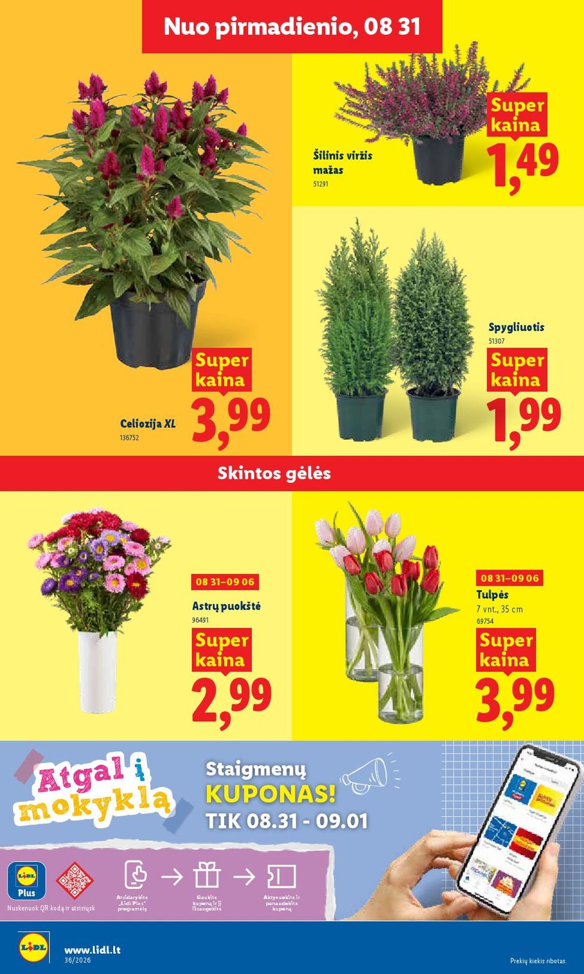 LIDL - Maisto prekių pasiūlymai (2026 08 31 - 2026 09 06)