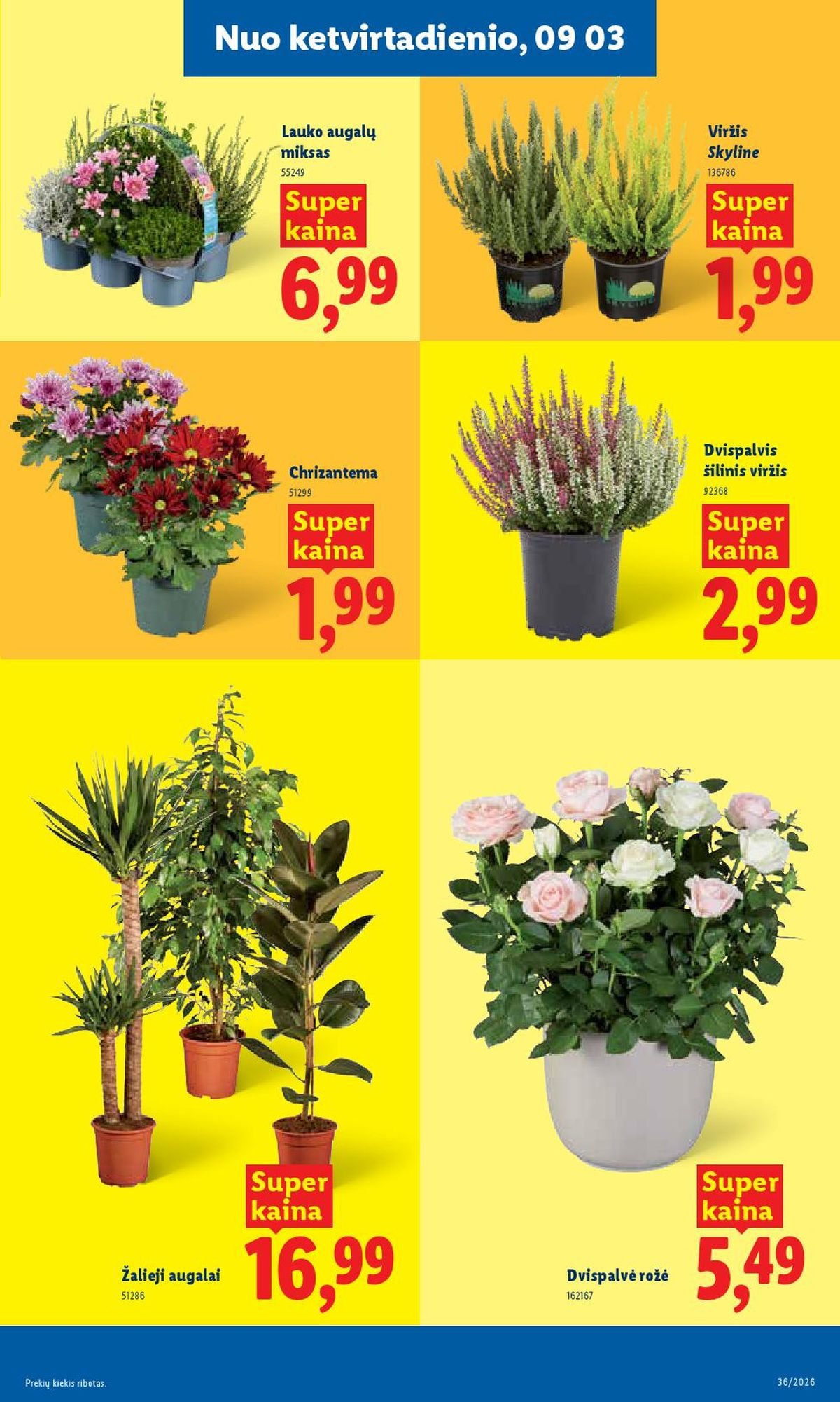 LIDL - Maisto prekių pasiūlymai (2026 08 31 - 2026 09 06)