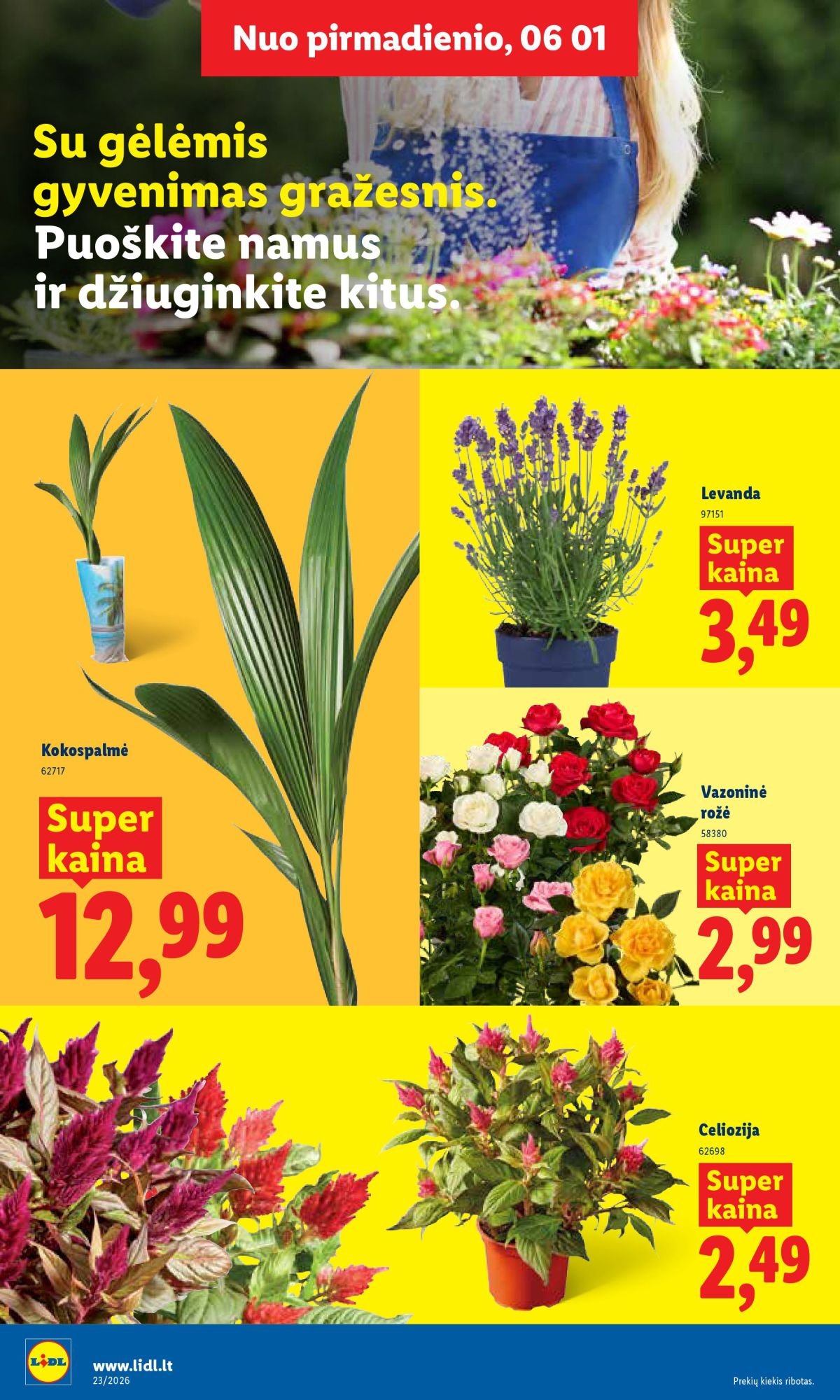 LIDL - Maisto prekių pasiūlymai (2026 06 01 - 2026 06 07)