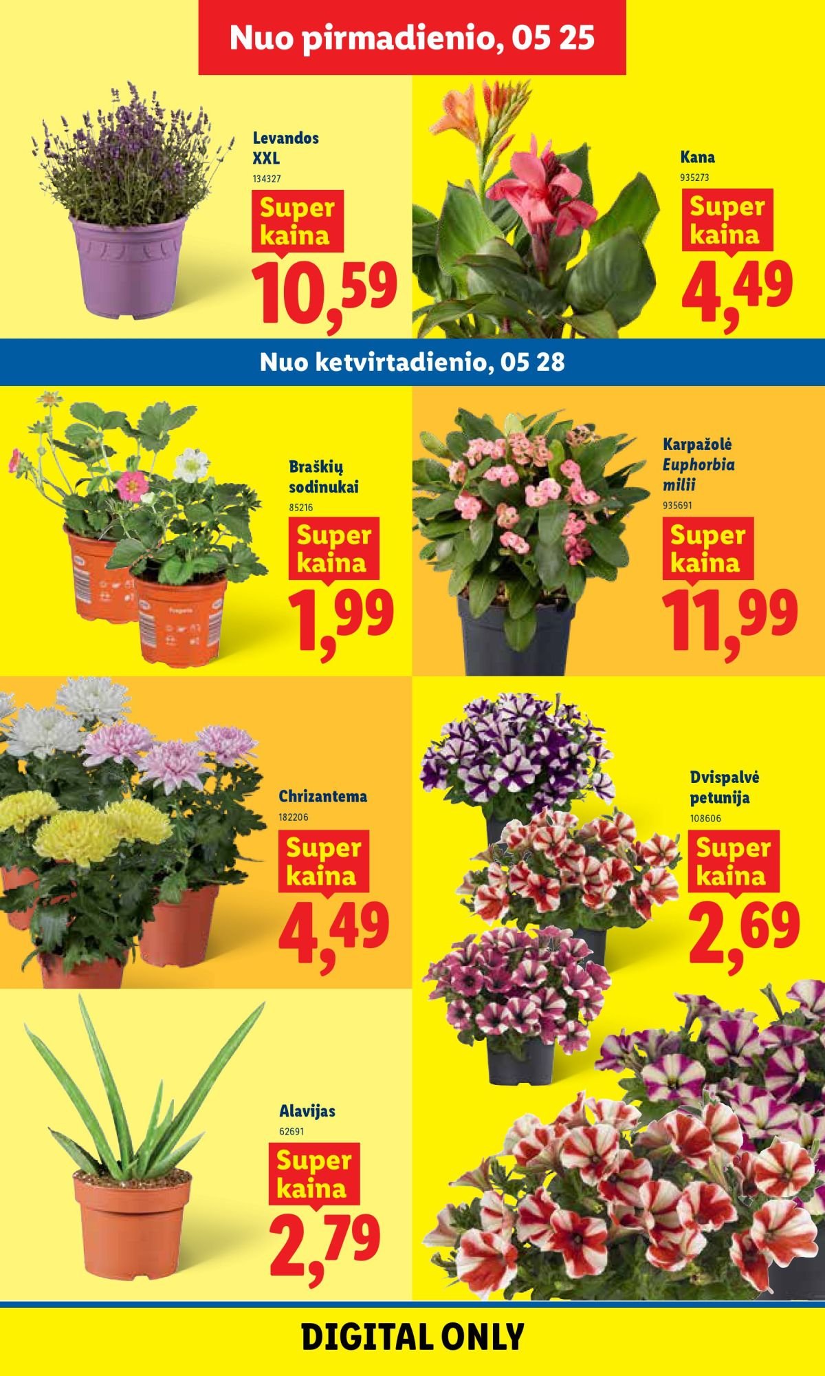 LIDL - Maisto prekių pasiūlymai (2026 05 25 - 2026 05 31)