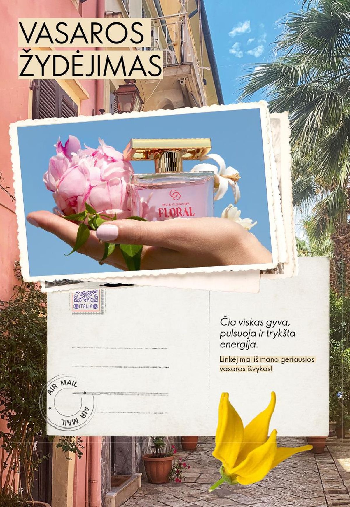 ORIFLAME - Katalogas (2026 07 15 - 2026 08 04)