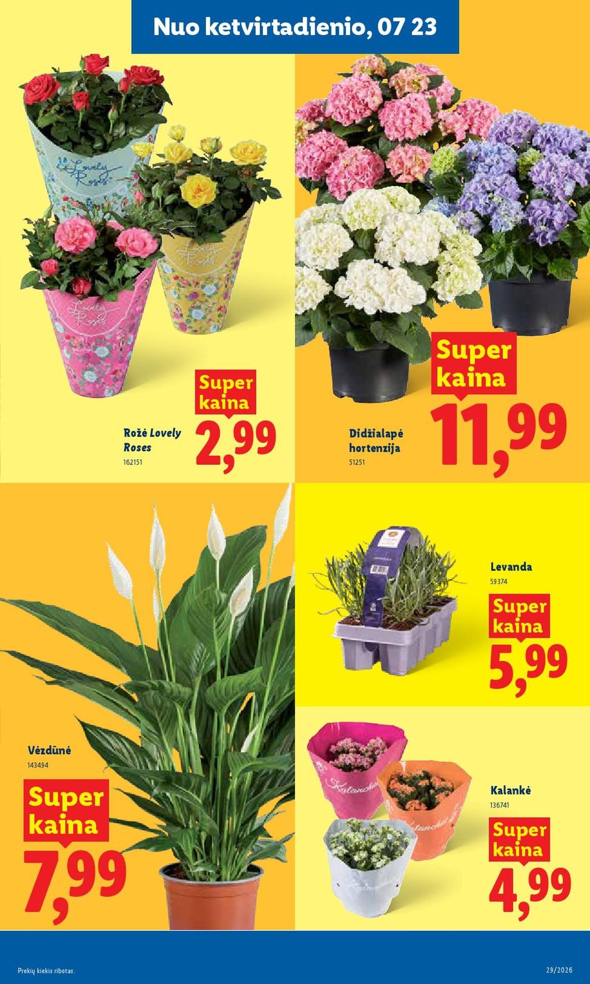 LIDL - Maisto prekių pasiūlymai (2026 07 20 - 2026 07 26)