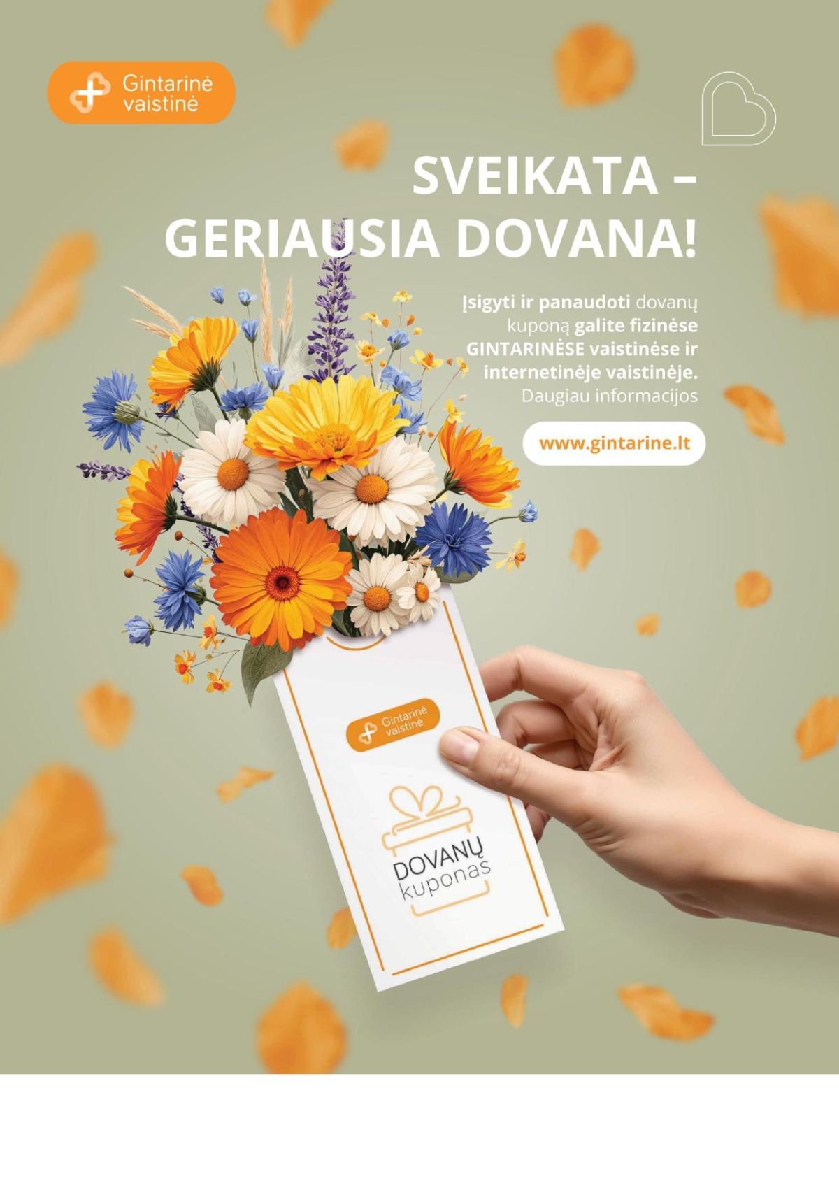 GINTARINĖ VAISTINĖ (2026 07 01 - 2026 07 31)