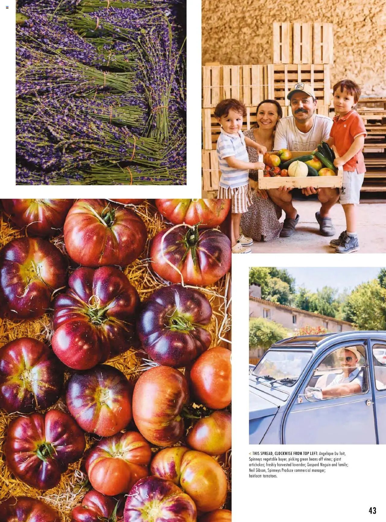 Spinneys offer from 03 07Jul, 2025 Offers (2025-07-03 - 2025-08-31)