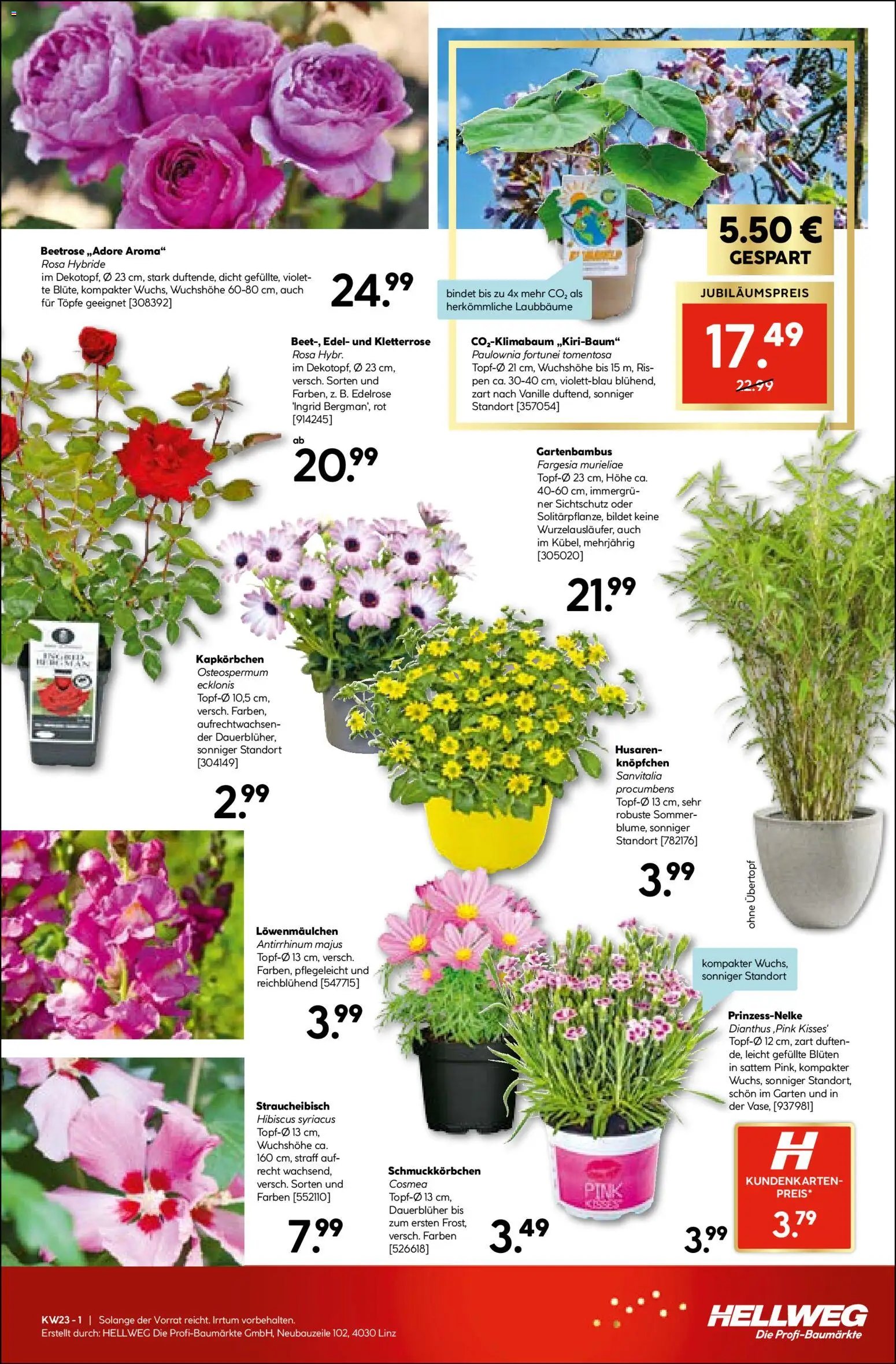 HELLWEG prospekt seit 03.06.2026 HELLWEG Flugblatt