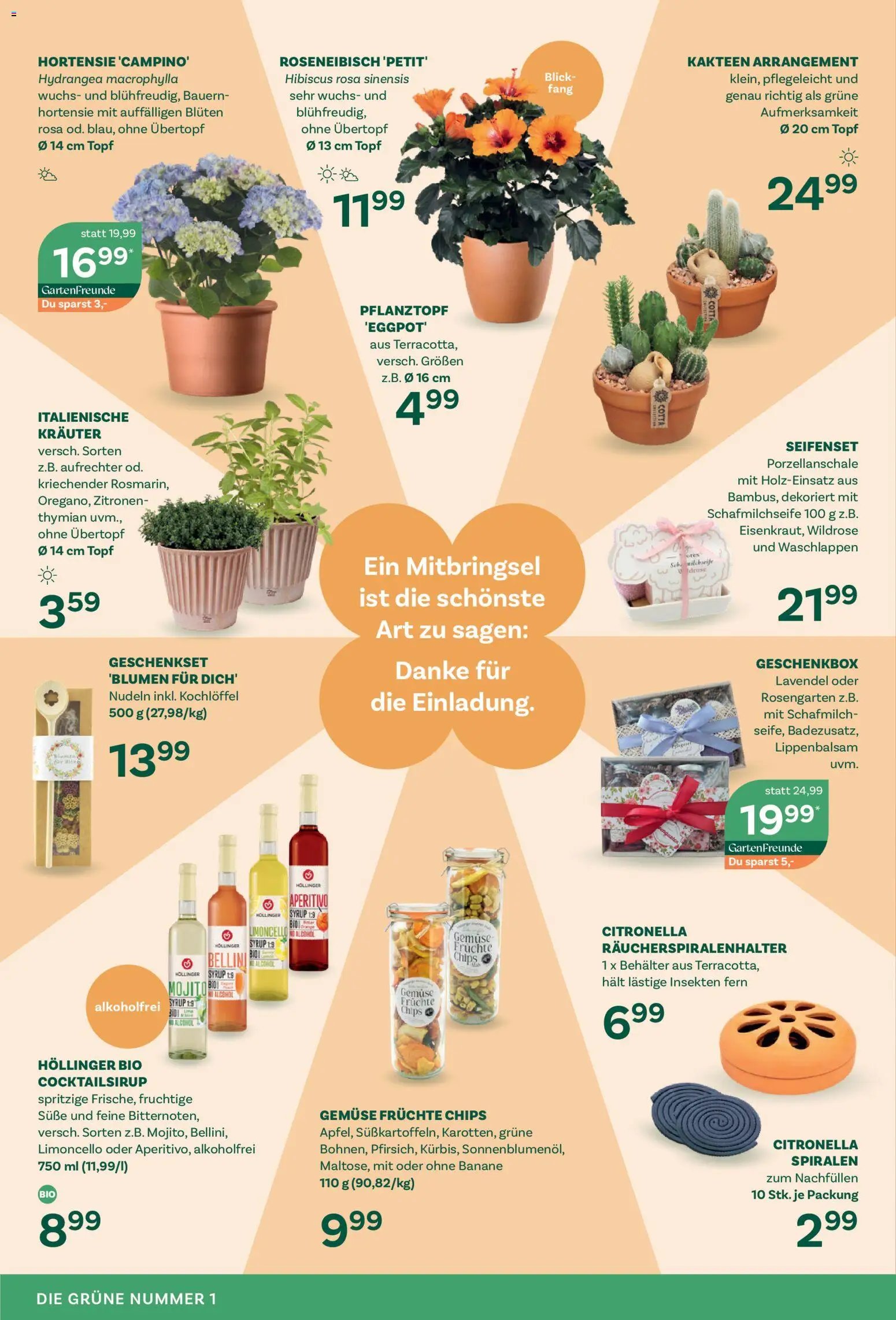 bellaflora prospekt seit 05.06.2026 bellaflora Flugblatt
