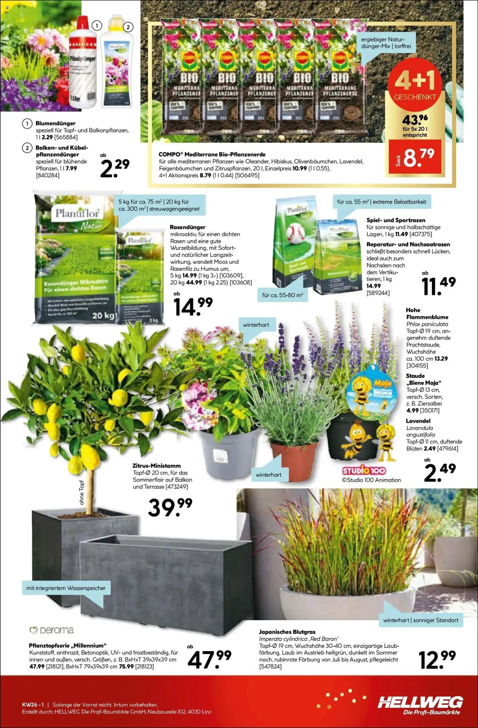 HELLWEG prospekt seit 24.06.2026 HELLWEG Ried