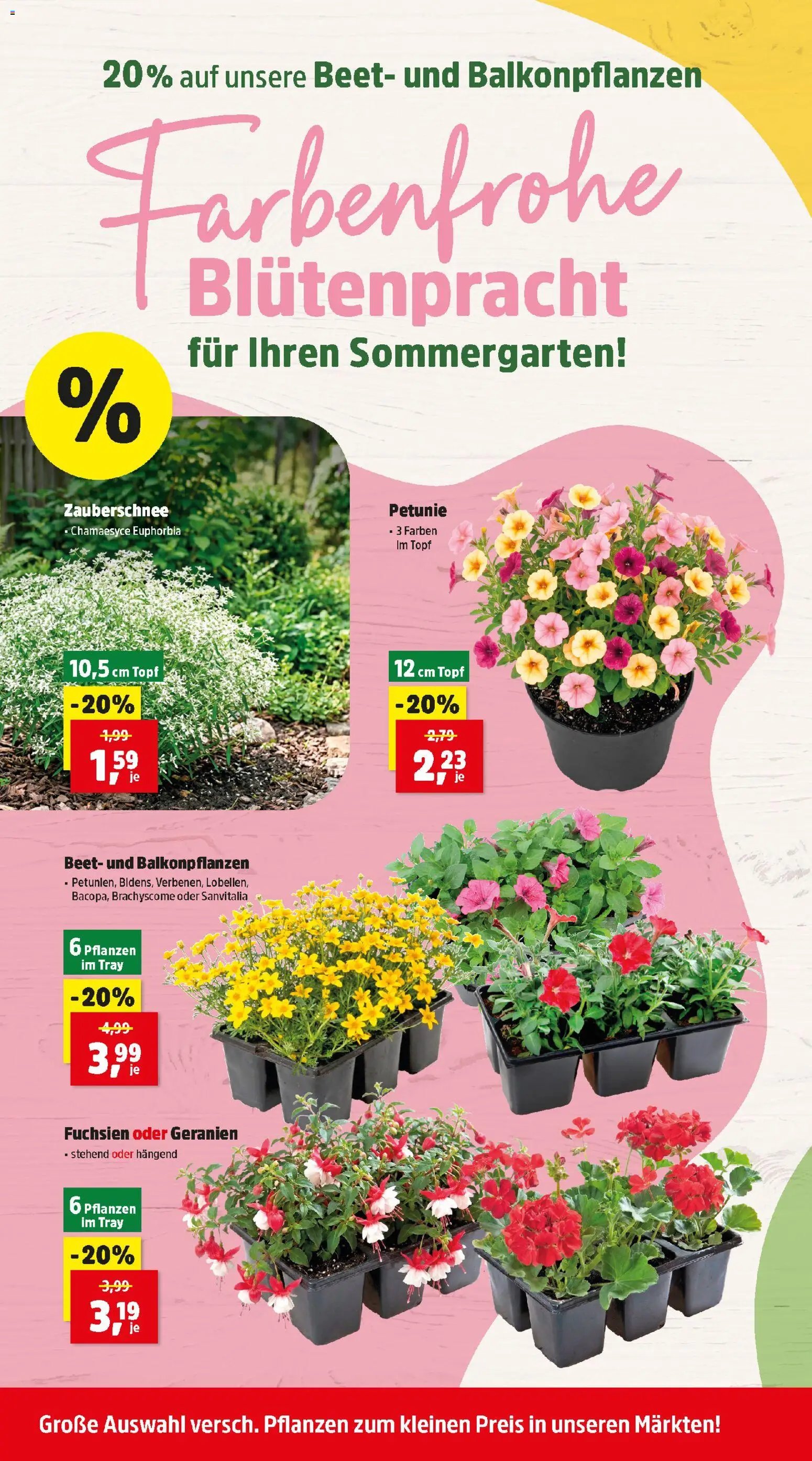 Thomas Philipps prospekt seit 08.06.2026 Thomas Philipps Flugblatt