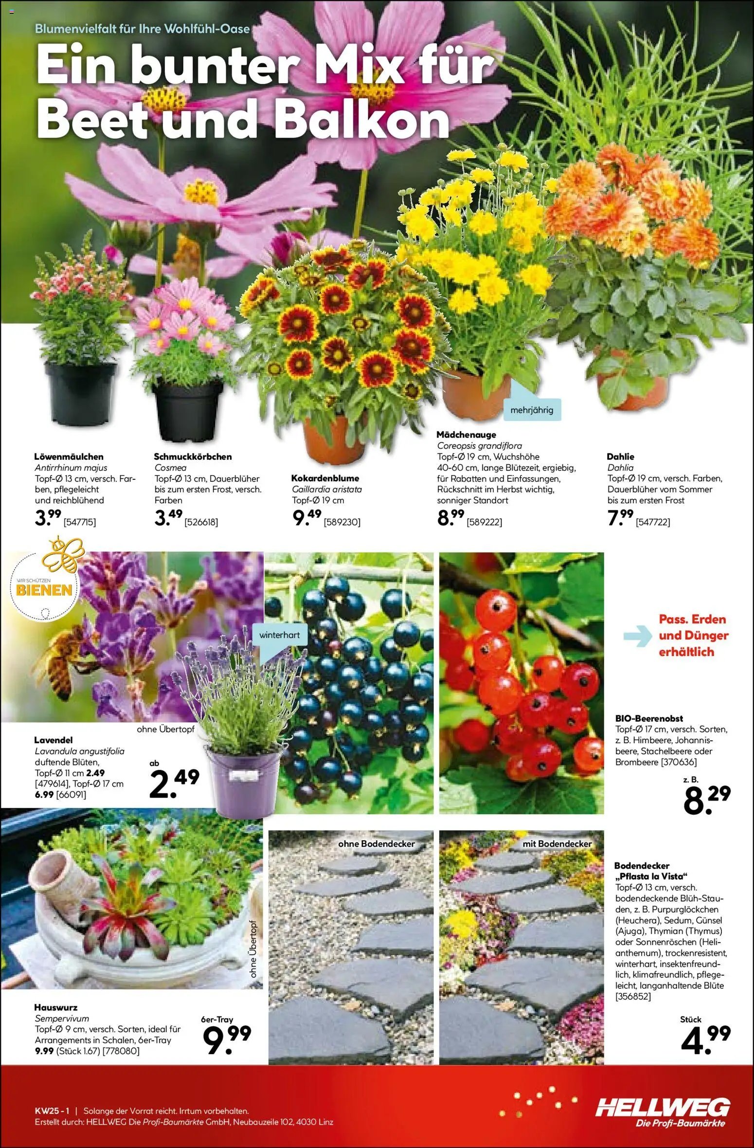 HELLWEG prospekt seit 18.06.2026 HELLWEG Flugblatt