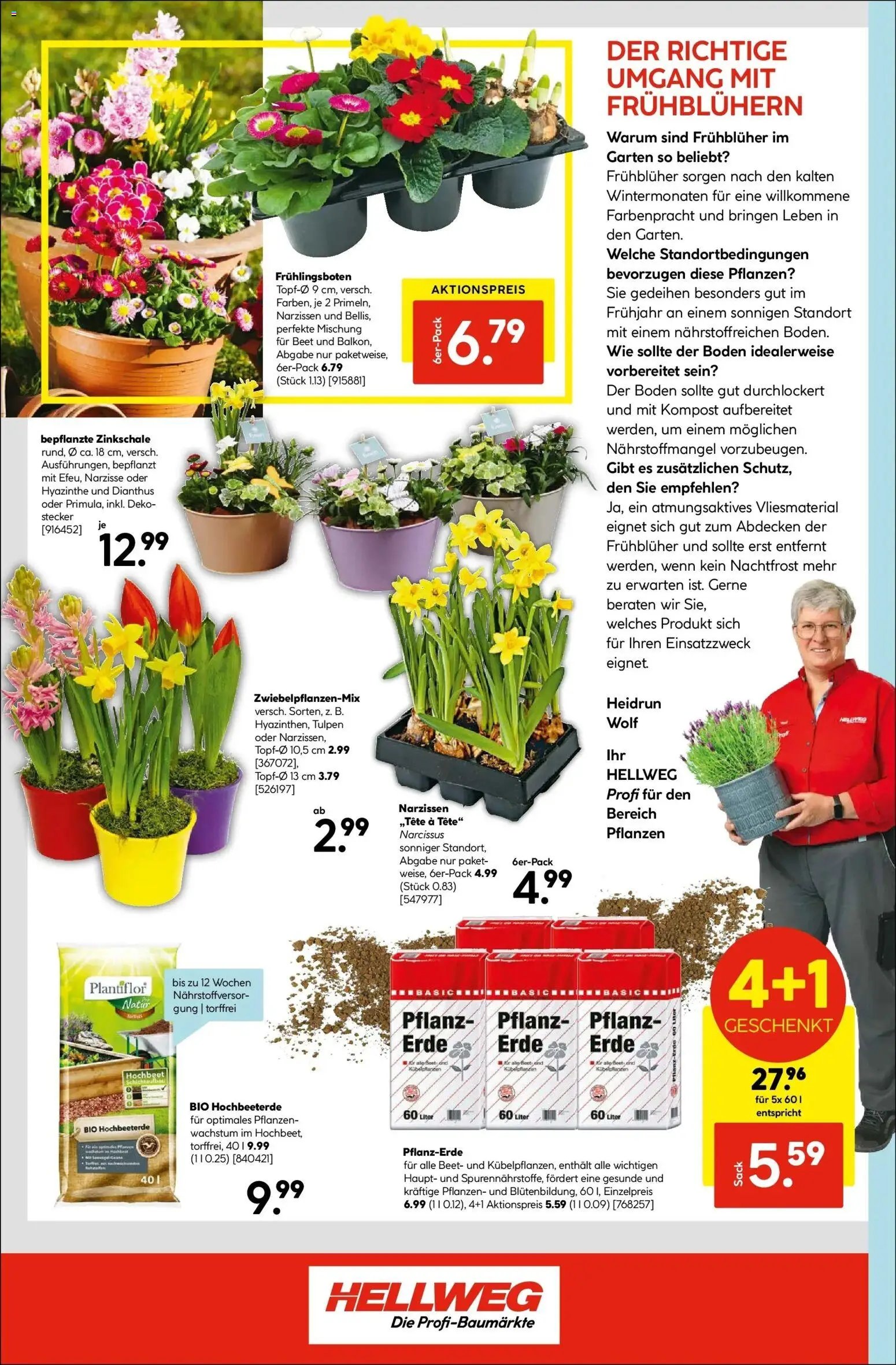 HELLWEG prospekt seit 26.02.2026 Kirchdorf An Der Krems