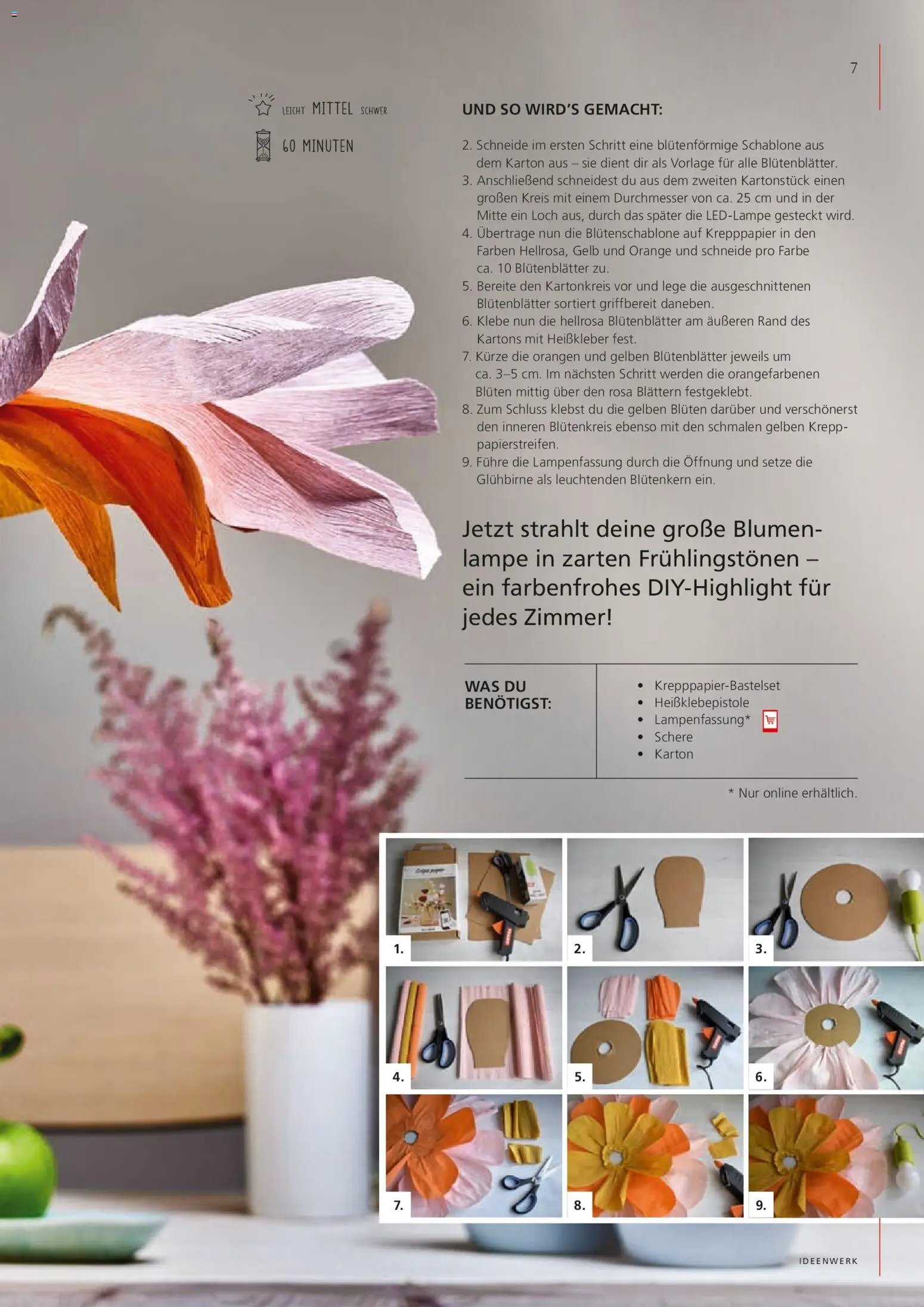 Pagro-Diskont prospekt seit 01.03.2026 Ideenwerk