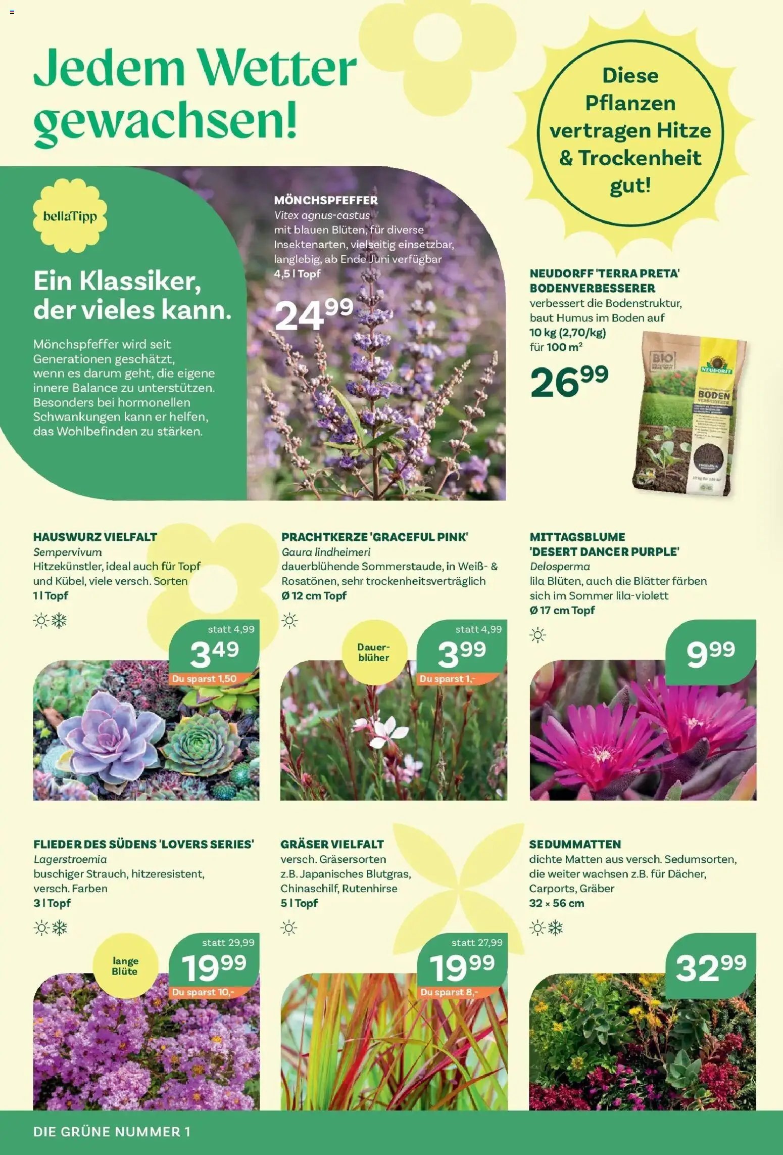 bellaflora prospekt seit 05.06.2026 bellaflora Flugblatt