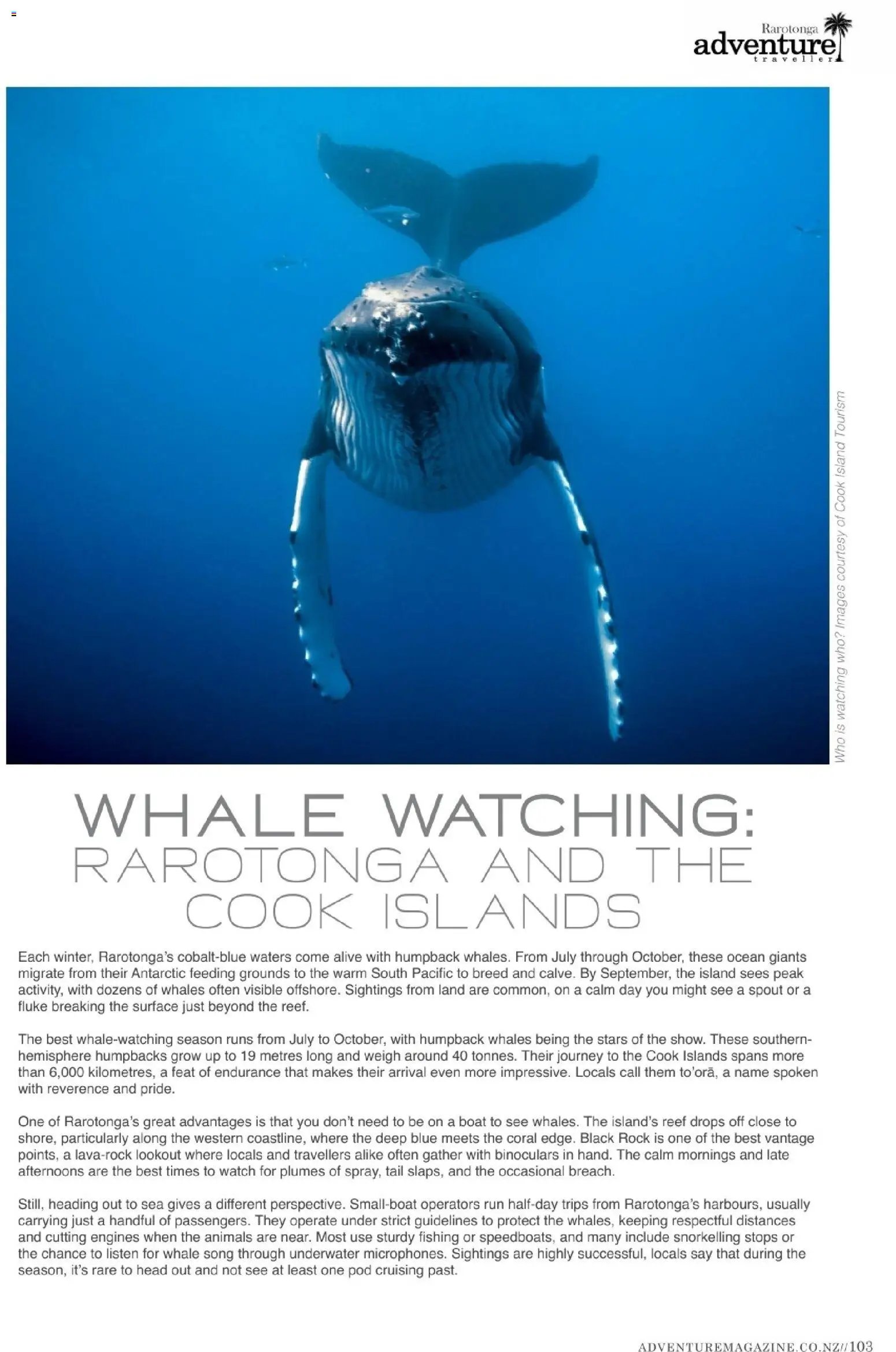 Hofer Reisen prospekt seit 01.01.2026 Flugblatt