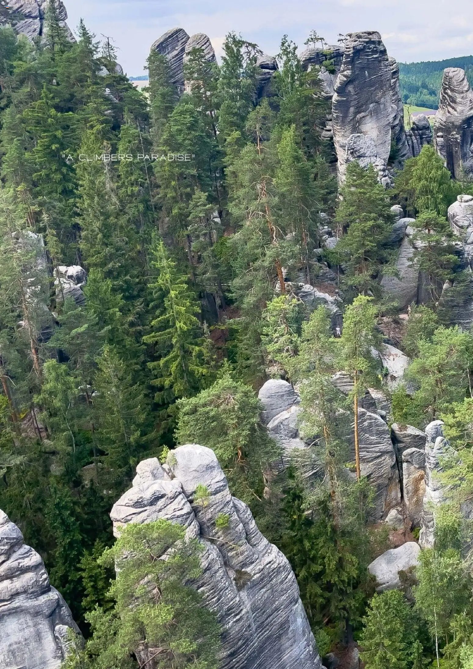 Hofer Reisen prospekt seit 01.01.2026 Flugblatt