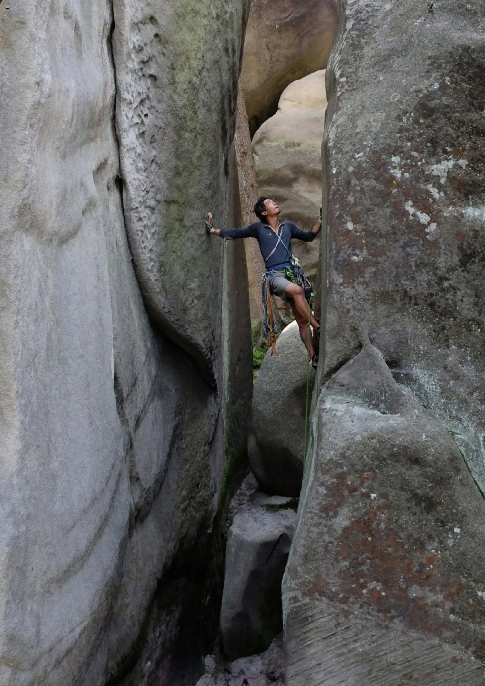 Hofer Reisen prospekt seit 01.01.2026 Flugblatt