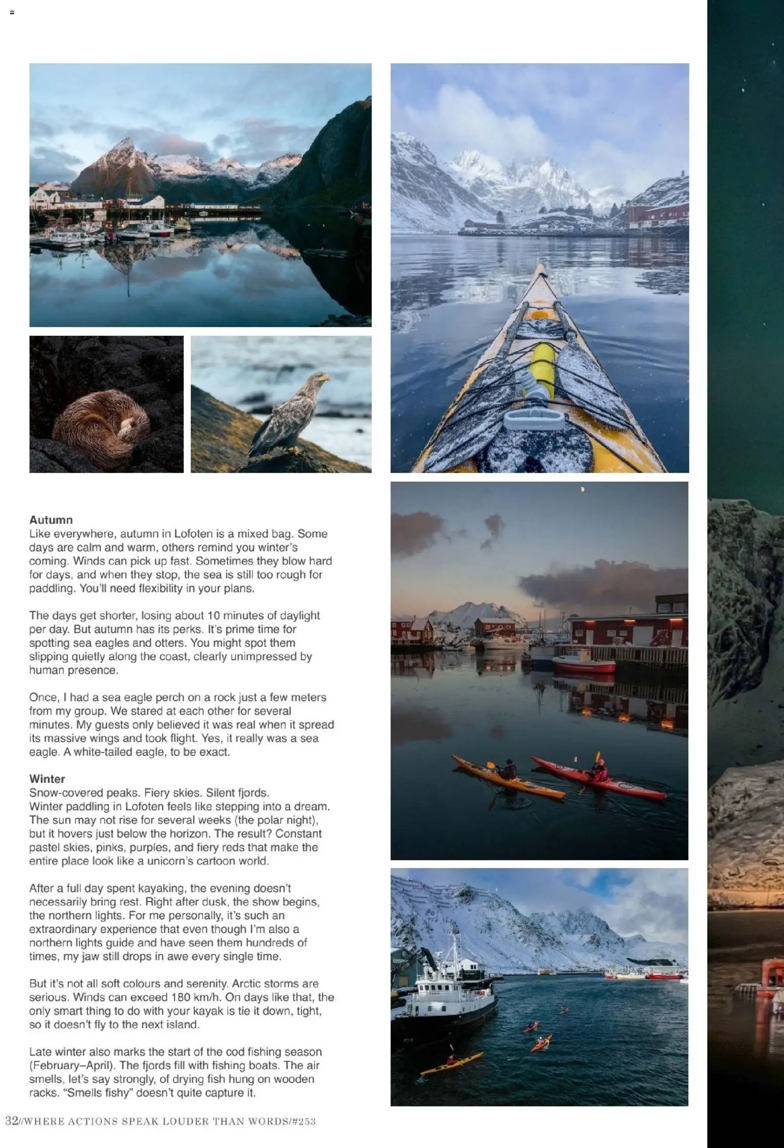 Hofer Reisen prospekt seit 01.01.2026 Flugblatt