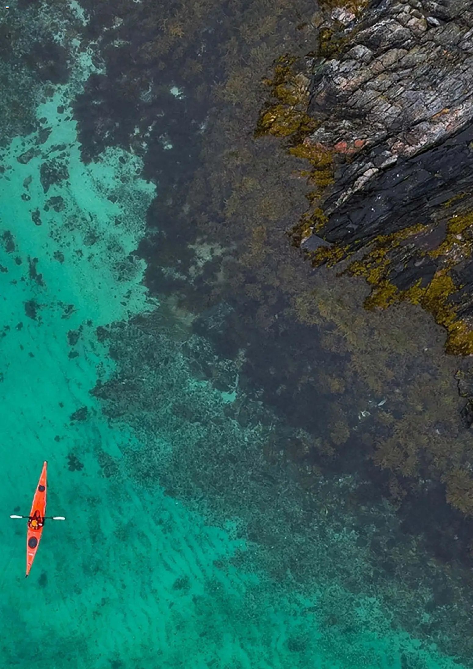 Hofer Reisen prospekt seit 01.01.2026 Flugblatt