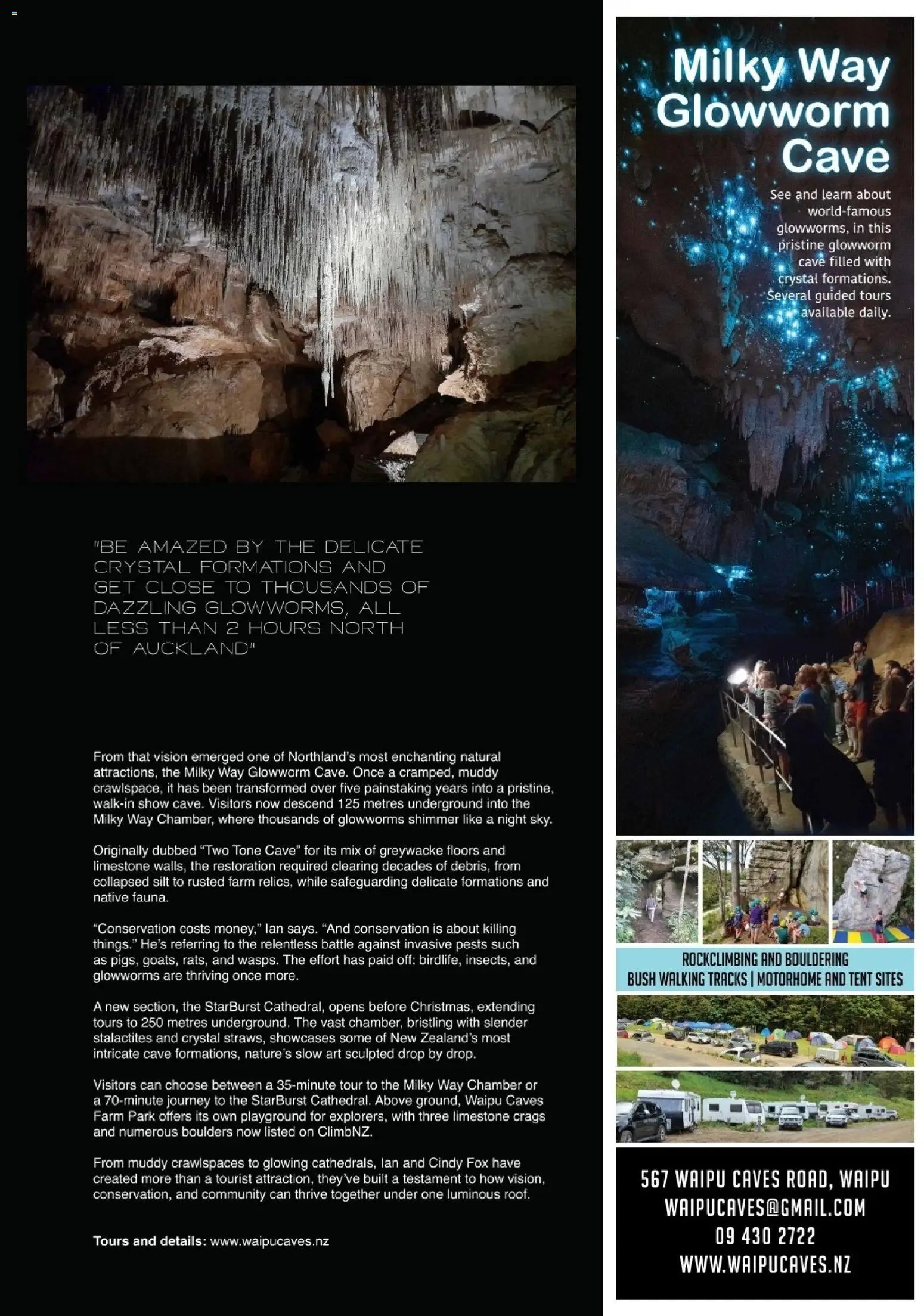 Hofer Reisen prospekt seit 01.01.2026 Flugblatt