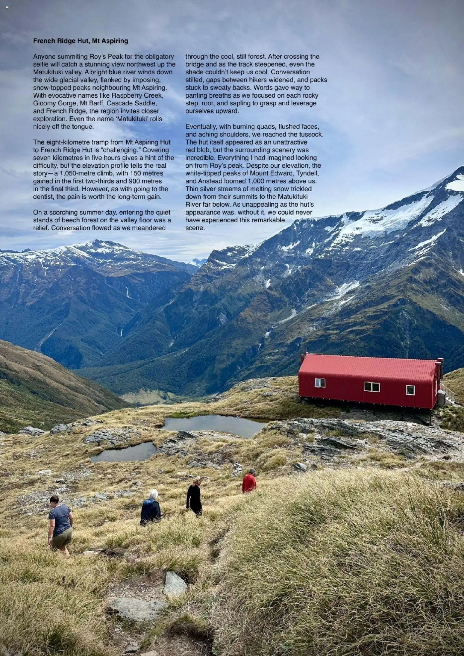 Hofer Reisen prospekt seit 01.01.2026 Flugblatt