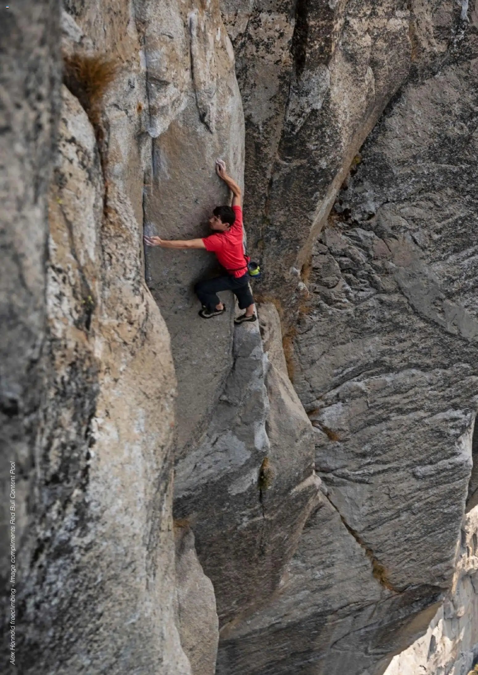 Hofer Reisen prospekt seit 01.01.2026 Flugblatt